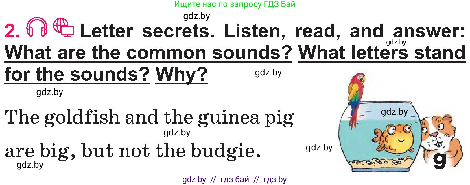 Английский язык (english), 3 класс Учебник, авторы: Лапицкая Людмила Михайловна (Lapitskaya Ludmila), Калишевич Алла Ивановна, Севрюкова Татьяна Юрьевна, Седунова Наталья Михайловна (Sedunova Natalia), издательство Вышэйшая школа, Минск, 2023, Часть 1, страница 102, номер 2, Условие