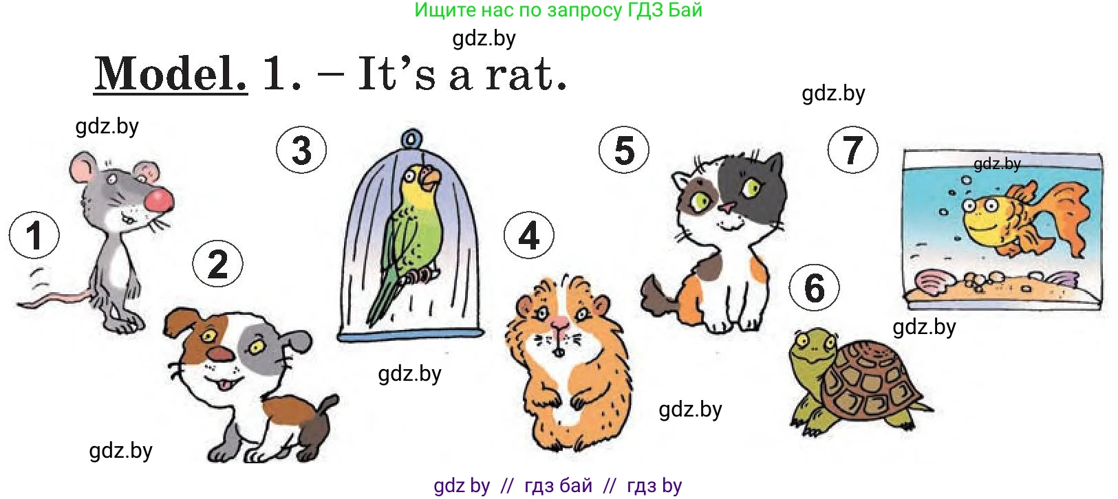 Английский язык (english), 3 класс Учебник, авторы: Лапицкая Людмила Михайловна (Lapitskaya Ludmila), Калишевич Алла Ивановна, Севрюкова Татьяна Юрьевна, Седунова Наталья Михайловна (Sedunova Natalia), издательство Вышэйшая школа, Минск, 2023, Часть 1, страница 104, номер 5, Условие (продолжение 2)