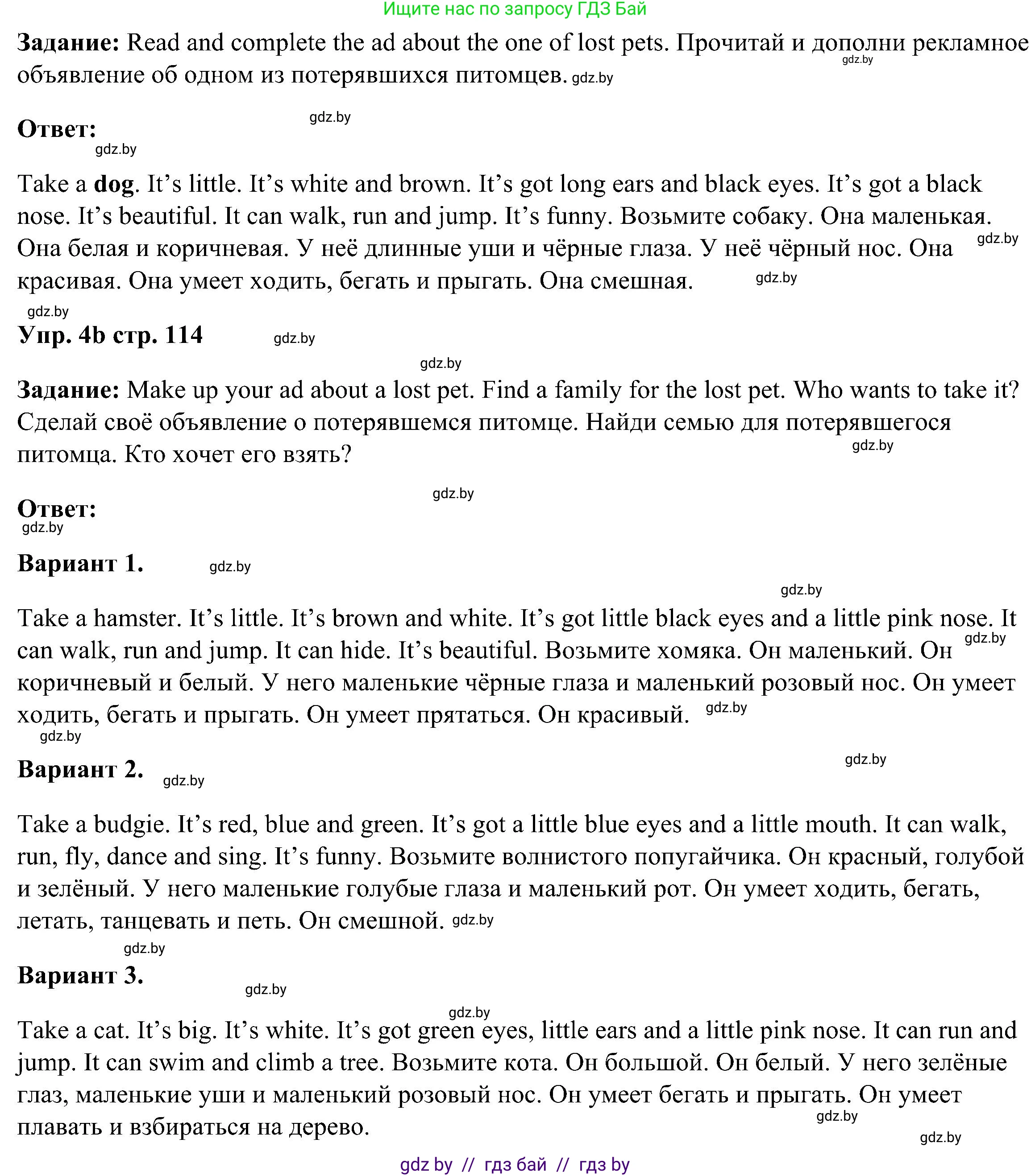 Английский язык (english), 3 класс Учебник, авторы: Лапицкая Людмила Михайловна (Lapitskaya Ludmila), Калишевич Алла Ивановна, Севрюкова Татьяна Юрьевна, Седунова Наталья Михайловна (Sedunova Natalia), издательство Вышэйшая школа, Минск, 2023, Часть 1, страница 114, номер 4, Решение