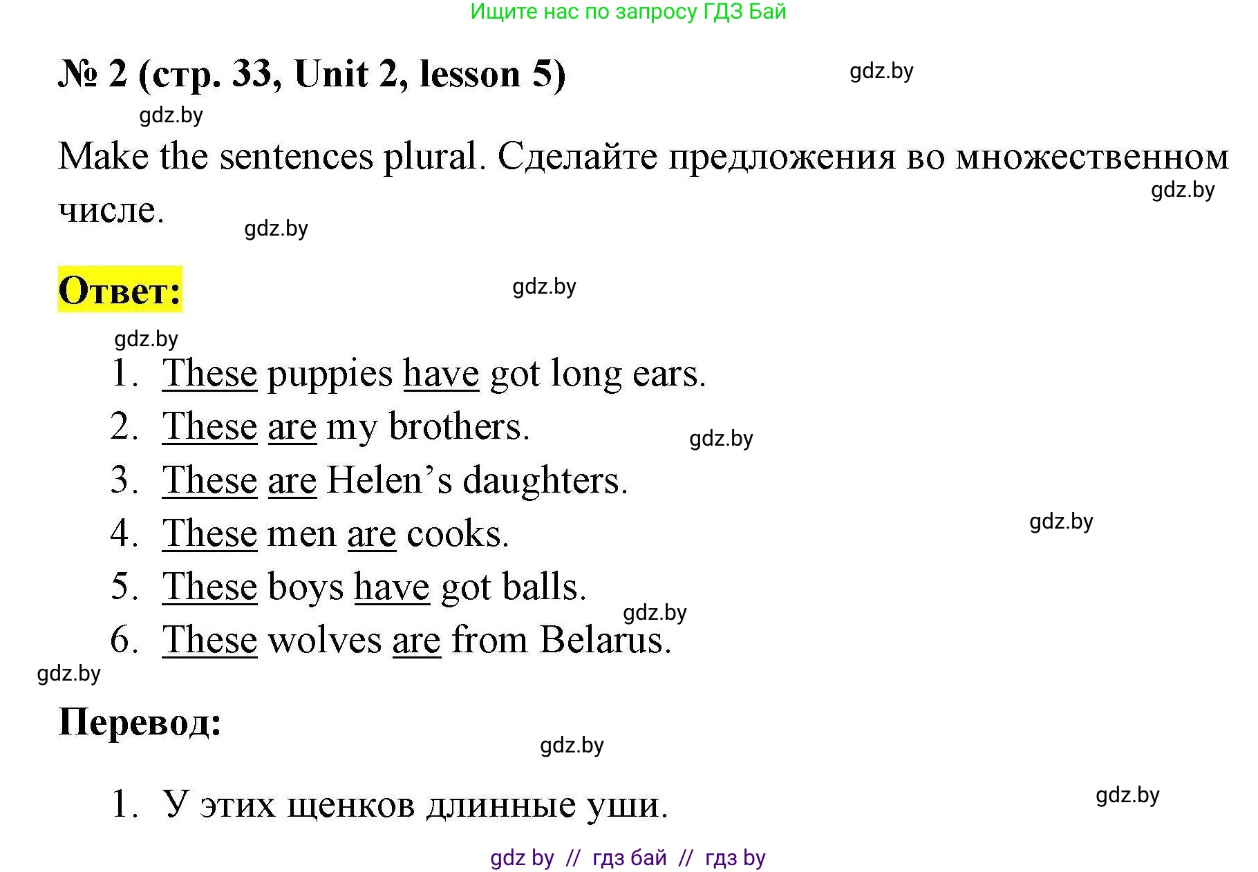 Английский язык (english), 4 класс практикум по грамматике (grammar), автор: Севрюкова Татьяна Юрьевна, издательство Аверсэв, Минск, 2023, страница 33, номер 2, Решение