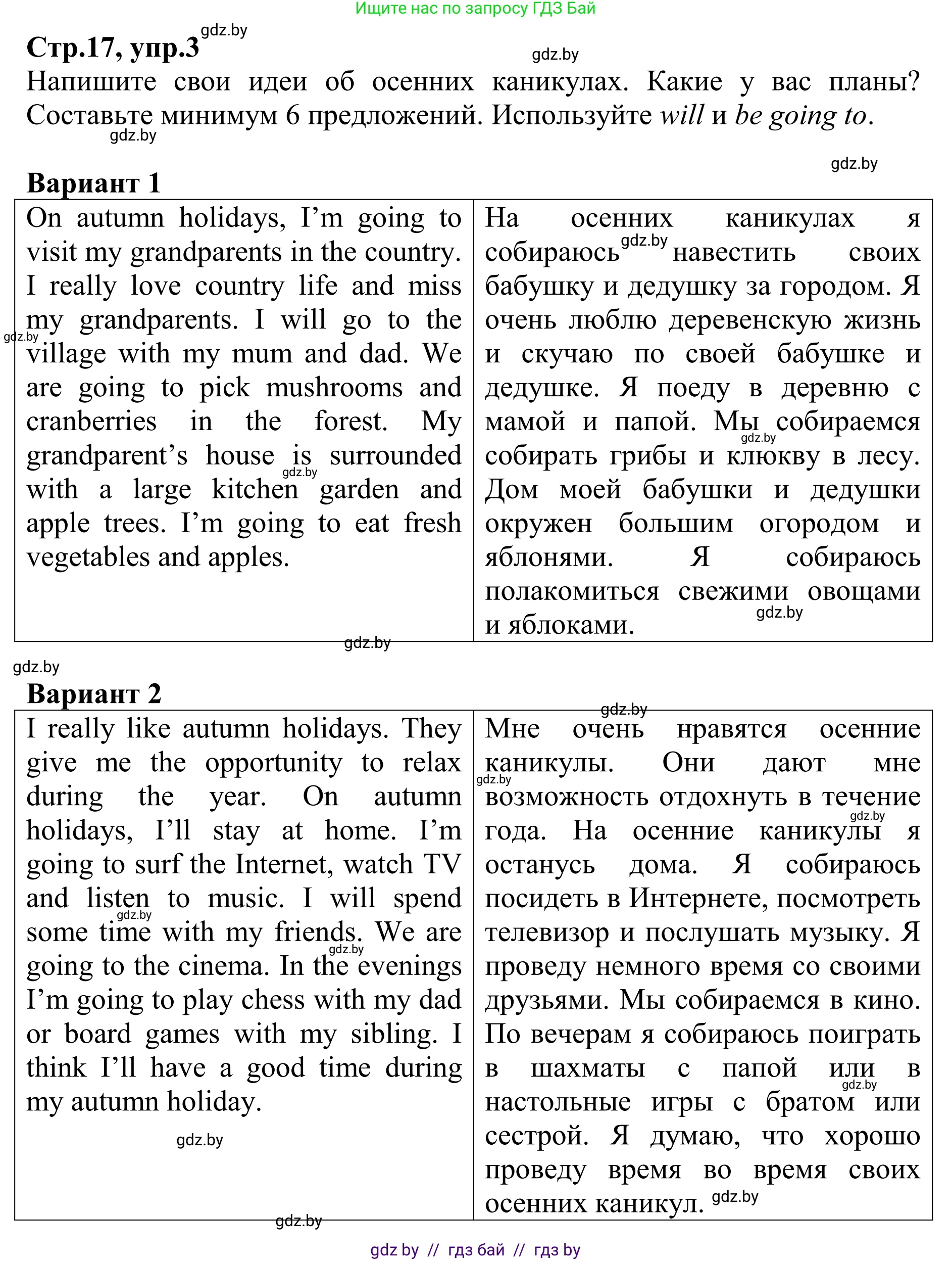 Английский язык (english), 6 класс рабочая тетрадь (activity book), авторы: Юхнель Наталья Валентиновна, Наумова Елена Георгиевна, Малиновская Елена Александровна, Гуськов А Л, Демченко Наталья Валентиновна, Лабода Т Е, Манешина А В, Матюш Н В, издательство Аверсэв, Минск, зелёного цвета, Часть ( Part) 1, страница 17, номер 3, Решение