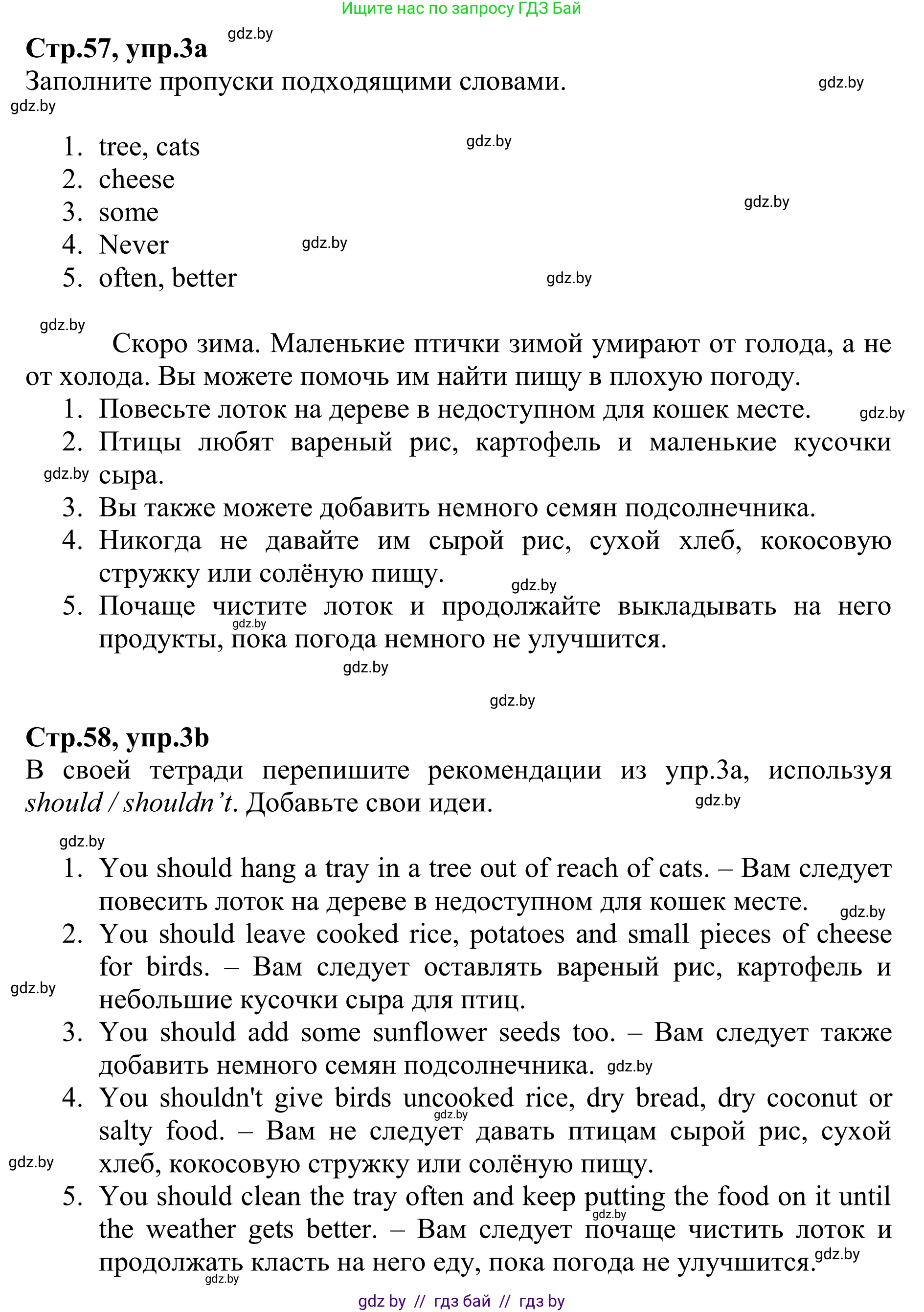 Английский язык (english), 6 класс рабочая тетрадь (activity book), авторы: Юхнель Наталья Валентиновна, Наумова Елена Георгиевна, Малиновская Елена Александровна, Гуськов А Л, Демченко Наталья Валентиновна, Лабода Т Е, Манешина А В, Матюш Н В, издательство Аверсэв, Минск, зелёного цвета, Часть ( Part) 1, страница 57, номер 3, Решение