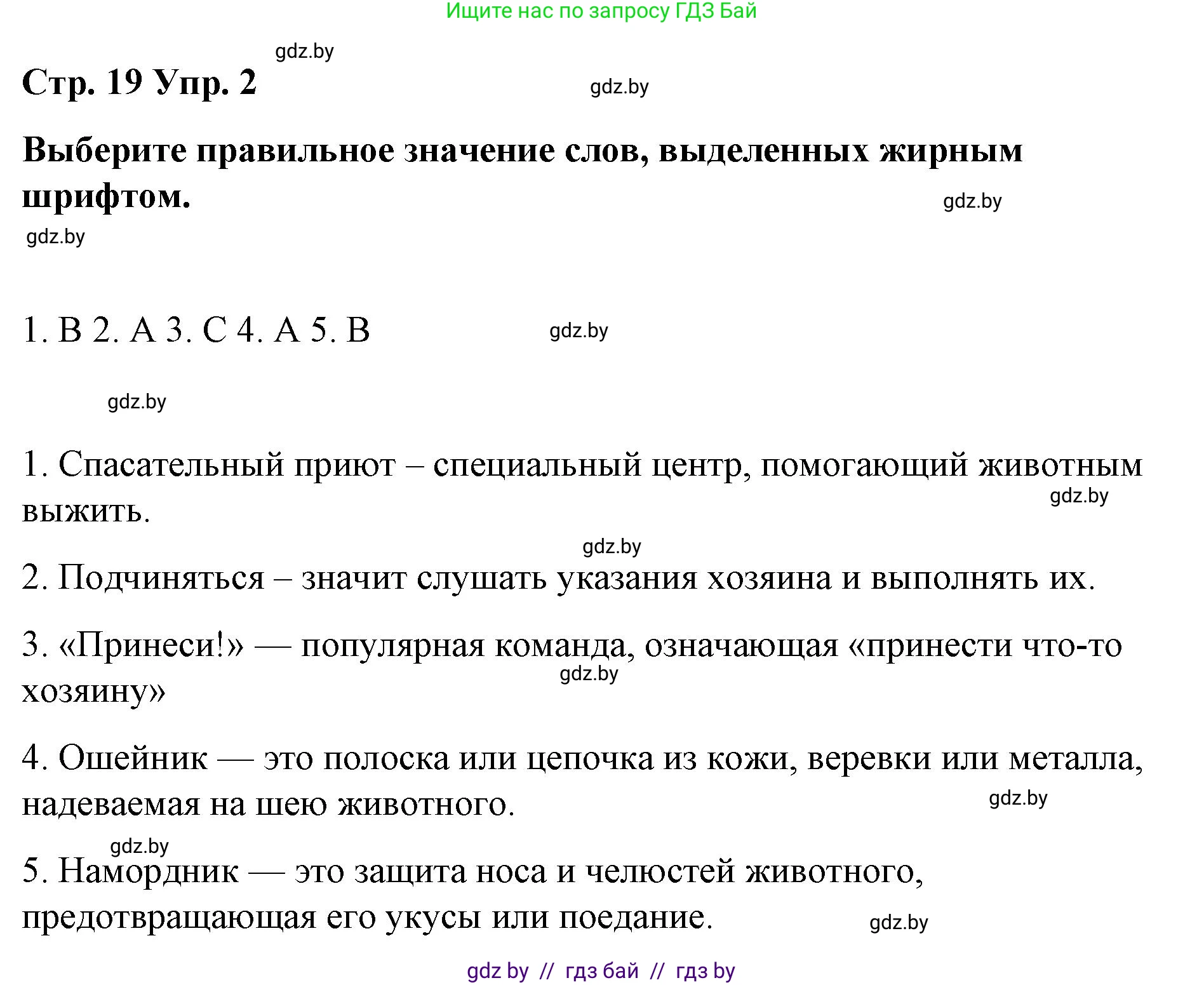 Английский язык (english), 6 класс Рабочая тетрадь (workbook), авторы: Демченко Наталья Валентиновна, Севрюкова Татьяна Юрьевна, Юхнель Наталья Валентиновна, Наумова Елена Георгиевна, Рыбалко О Н, Манешина А В, Маслёнченко Н А, Бушуева Эдите Владиславовна, издательство Аверсэв, Минск, 2020, зелёного цвета, Часть ( Part) 1, страница 19, номер 2, Решение