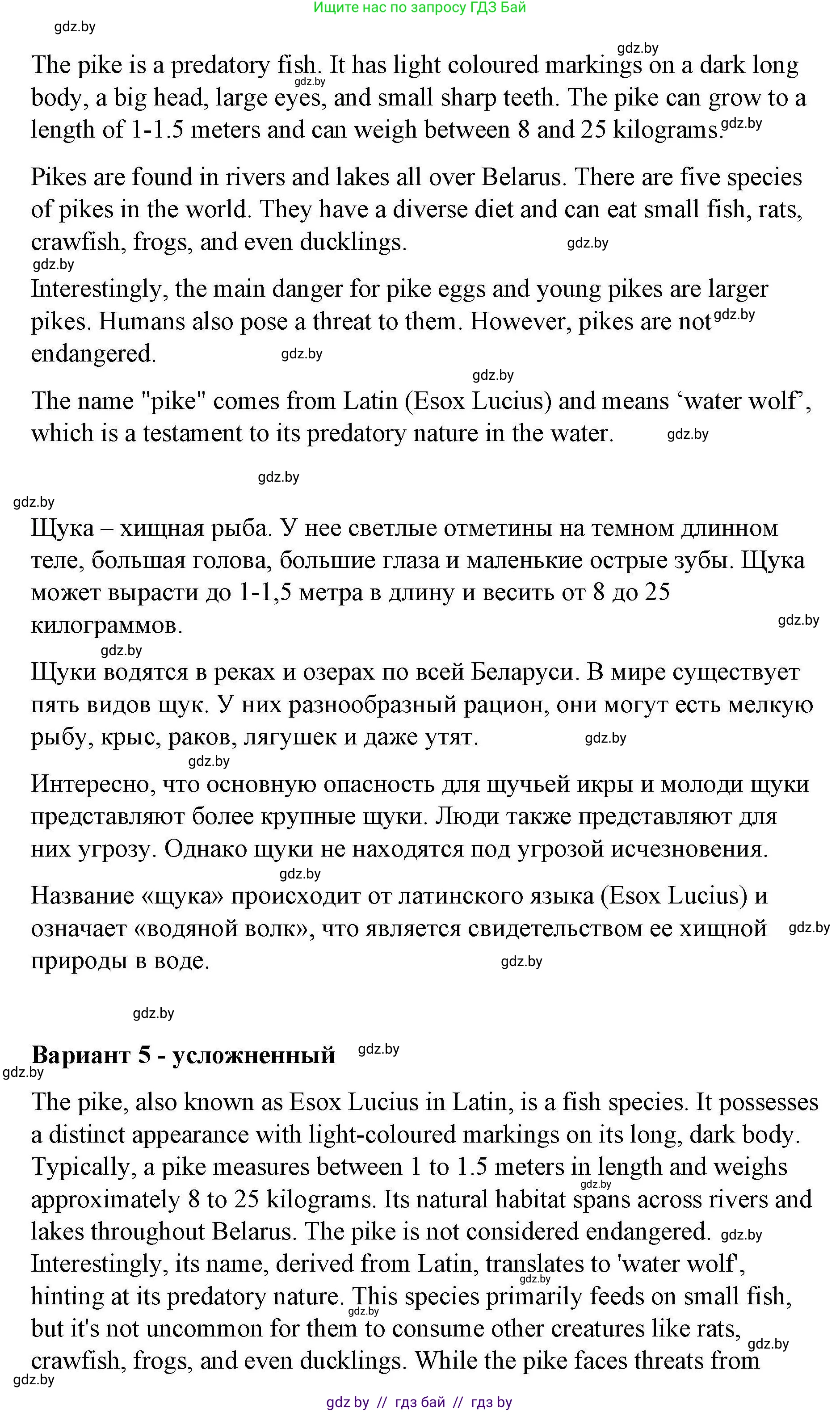 Английский язык (english), 6 класс Рабочая тетрадь (workbook), авторы: Демченко Наталья Валентиновна, Севрюкова Татьяна Юрьевна, Юхнель Наталья Валентиновна, Наумова Елена Георгиевна, Рыбалко О Н, Манешина А В, Маслёнченко Н А, Бушуева Эдите Владиславовна, издательство Аверсэв, Минск, 2020, зелёного цвета, Часть ( Part) 2, страница 31, номер 3, Решение (продолжение 6)