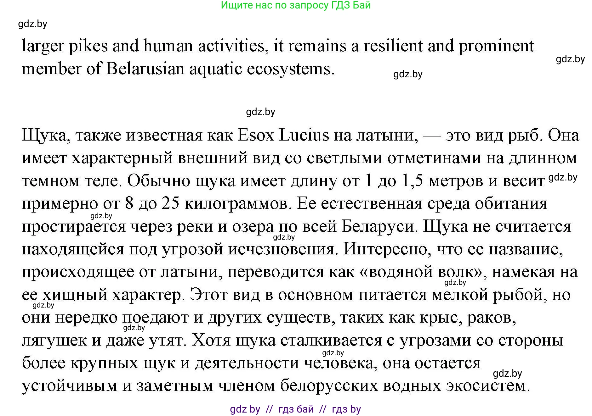 Английский язык (english), 6 класс Рабочая тетрадь (workbook), авторы: Демченко Наталья Валентиновна, Севрюкова Татьяна Юрьевна, Юхнель Наталья Валентиновна, Наумова Елена Георгиевна, Рыбалко О Н, Манешина А В, Маслёнченко Н А, Бушуева Эдите Владиславовна, издательство Аверсэв, Минск, 2020, зелёного цвета, Часть ( Part) 2, страница 31, номер 3, Решение (продолжение 7)