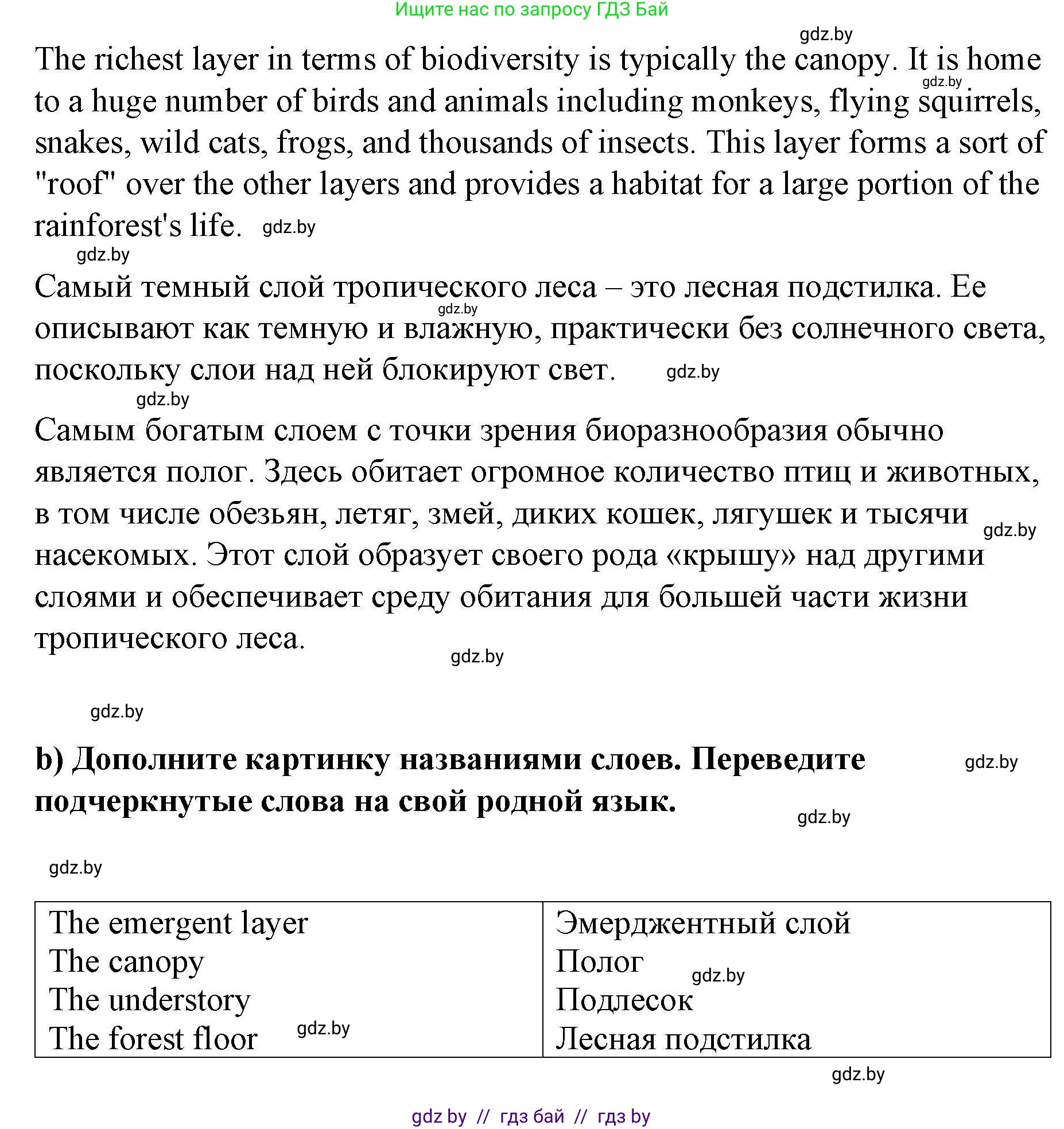 Английский язык (english), 6 класс Рабочая тетрадь (workbook), авторы: Демченко Наталья Валентиновна, Севрюкова Татьяна Юрьевна, Юхнель Наталья Валентиновна, Наумова Елена Георгиевна, Рыбалко О Н, Манешина А В, Маслёнченко Н А, Бушуева Эдите Владиславовна, издательство Аверсэв, Минск, 2020, зелёного цвета, Часть ( Part) 2, страница 57, номер 3, Решение (продолжение 3)