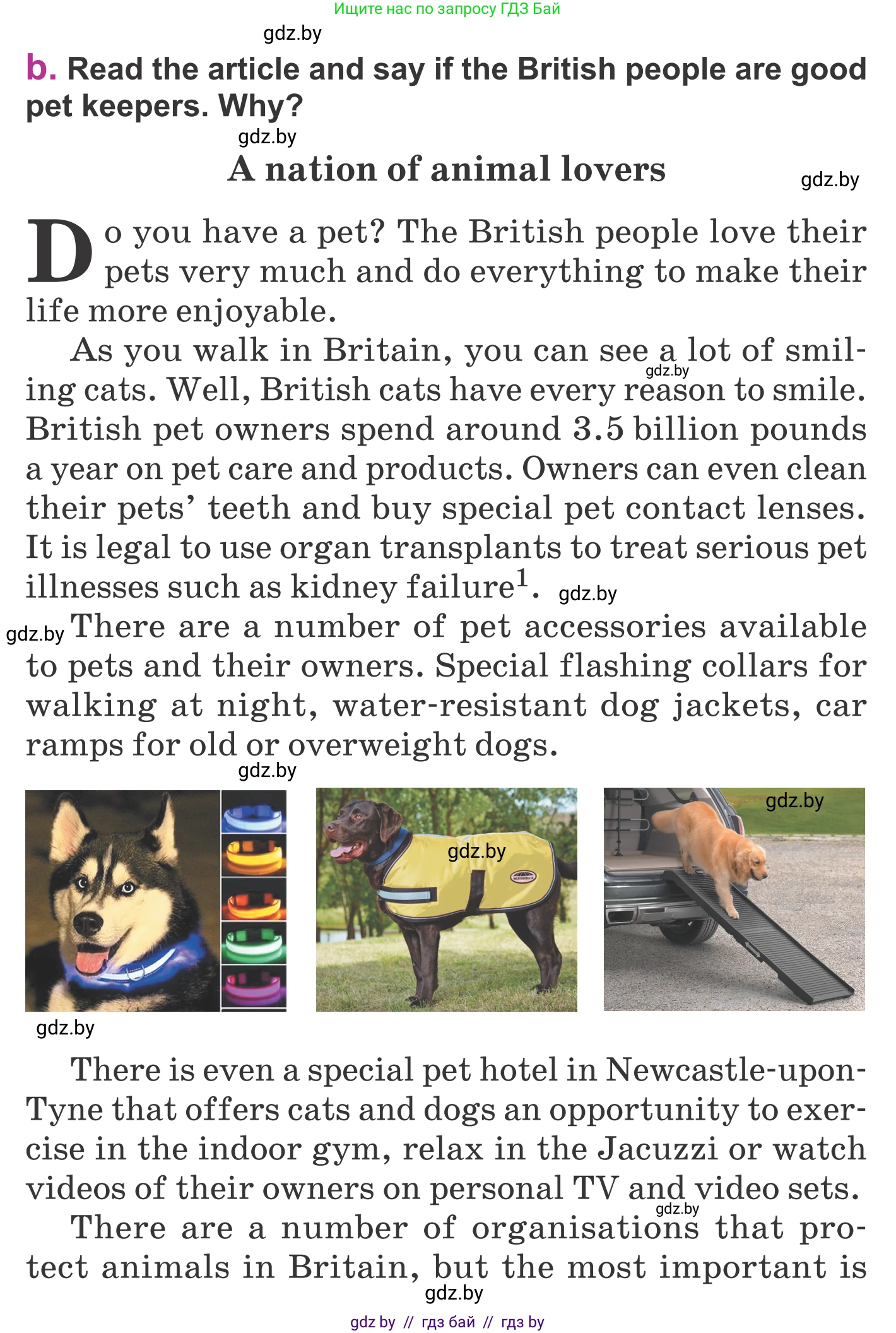 Английский язык (english), 6 класс Учебник, авторы: Демченко Наталья Валентиновна, Севрюкова Татьяна Юрьевна, Юхнель Наталья Валентиновна, Наумова Елена Георгиевна, Рыбалко О Н, Манешина А В, Маслёнченко Н А, издательство Вышэйшая школа, Минск, 2018, красного цвета, Часть 1, страница 33, номер 2, Условие (продолжение 2)