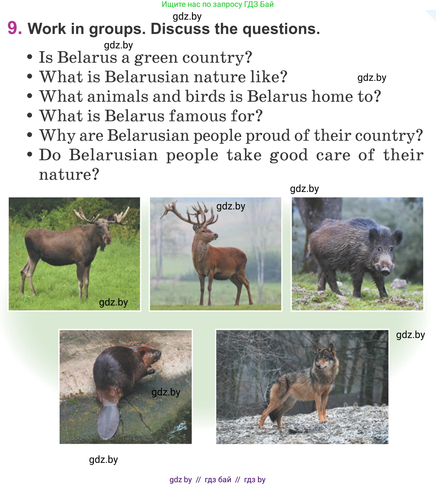 Английский язык (english), 6 класс Учебник, авторы: Демченко Наталья Валентиновна, Севрюкова Татьяна Юрьевна, Юхнель Наталья Валентиновна, Наумова Елена Георгиевна, Рыбалко О Н, Манешина А В, Маслёнченко Н А, издательство Вышэйшая школа, Минск, 2018, красного цвета, Часть 2, страница 51, номер 9, Условие