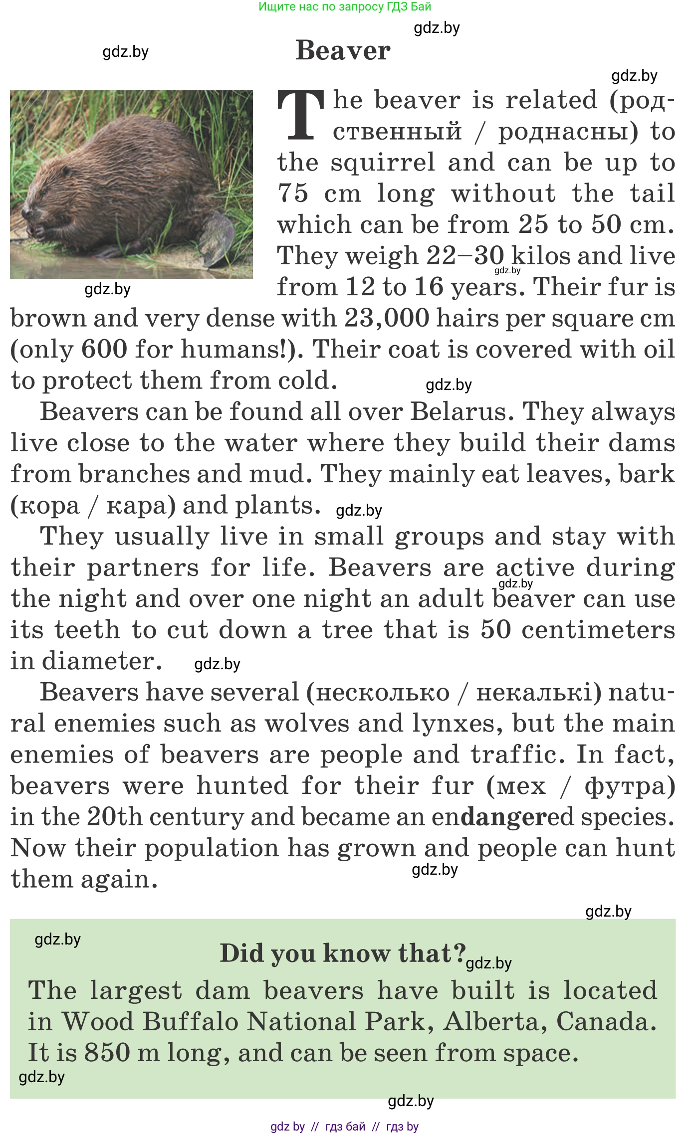 Английский язык (english), 6 класс Учебник, авторы: Демченко Наталья Валентиновна, Севрюкова Татьяна Юрьевна, Юхнель Наталья Валентиновна, Наумова Елена Георгиевна, Рыбалко О Н, Манешина А В, Маслёнченко Н А, издательство Вышэйшая школа, Минск, 2018, красного цвета, Часть 2, страница 56, номер 4, Условие (продолжение 3)