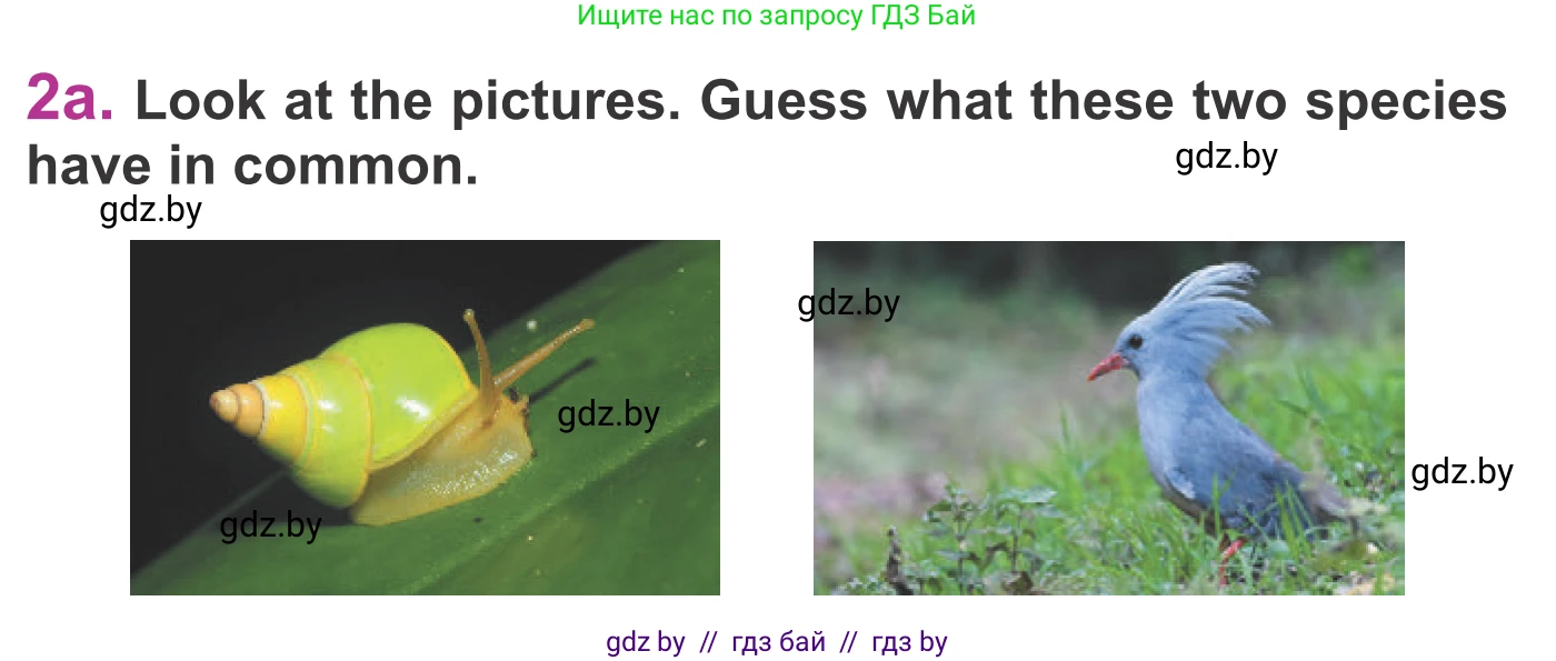 Английский язык (english), 6 класс Учебник, авторы: Демченко Наталья Валентиновна, Севрюкова Татьяна Юрьевна, Юхнель Наталья Валентиновна, Наумова Елена Георгиевна, Рыбалко О Н, Манешина А В, Маслёнченко Н А, издательство Вышэйшая школа, Минск, 2018, красного цвета, Часть 2, страница 104, номер 2, Условие