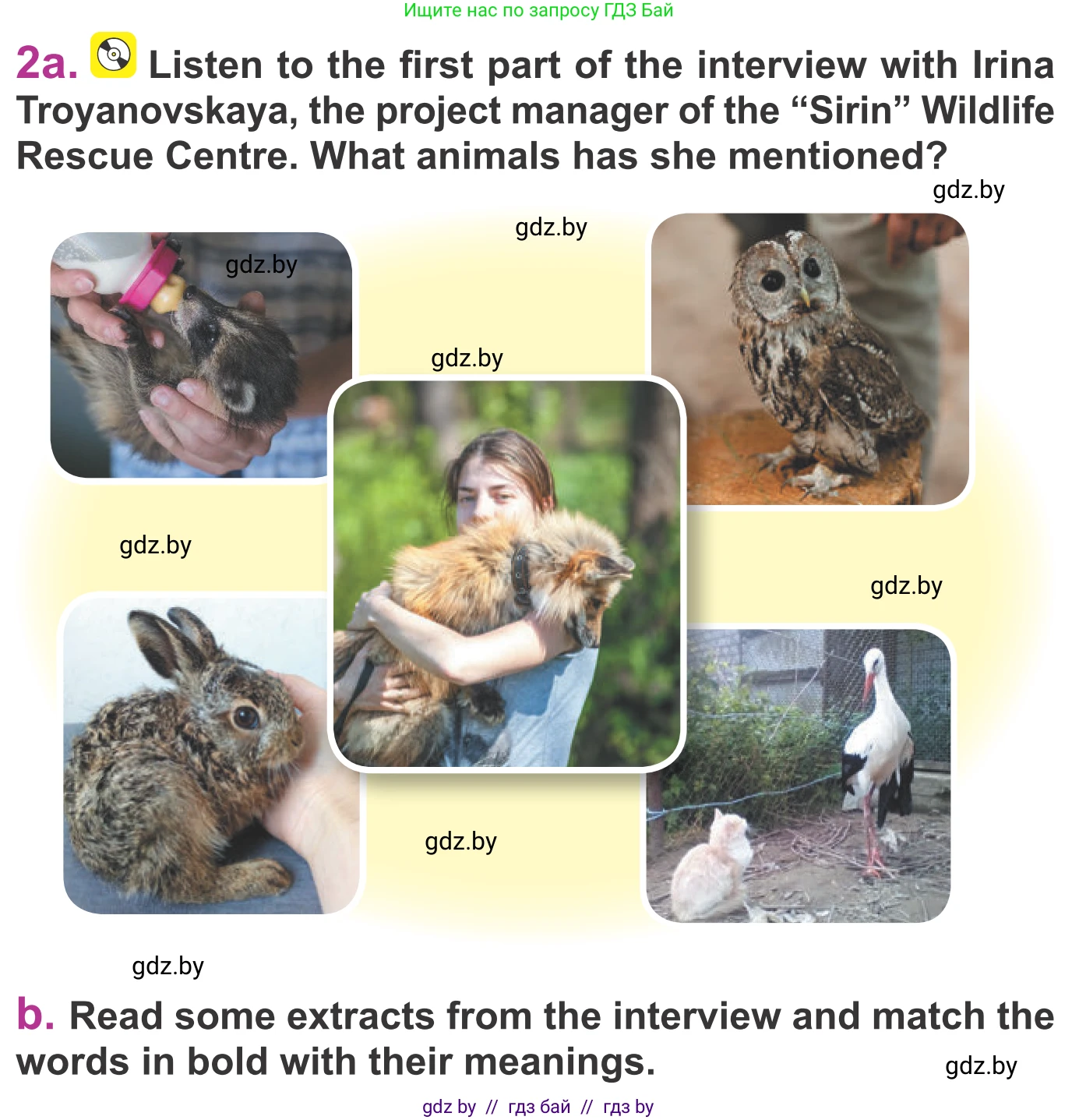 Английский язык (english), 6 класс Учебник, авторы: Демченко Наталья Валентиновна, Севрюкова Татьяна Юрьевна, Юхнель Наталья Валентиновна, Наумова Елена Георгиевна, Рыбалко О Н, Манешина А В, Маслёнченко Н А, издательство Вышэйшая школа, Минск, 2018, красного цвета, Часть 2, страница 112, номер 2, Условие