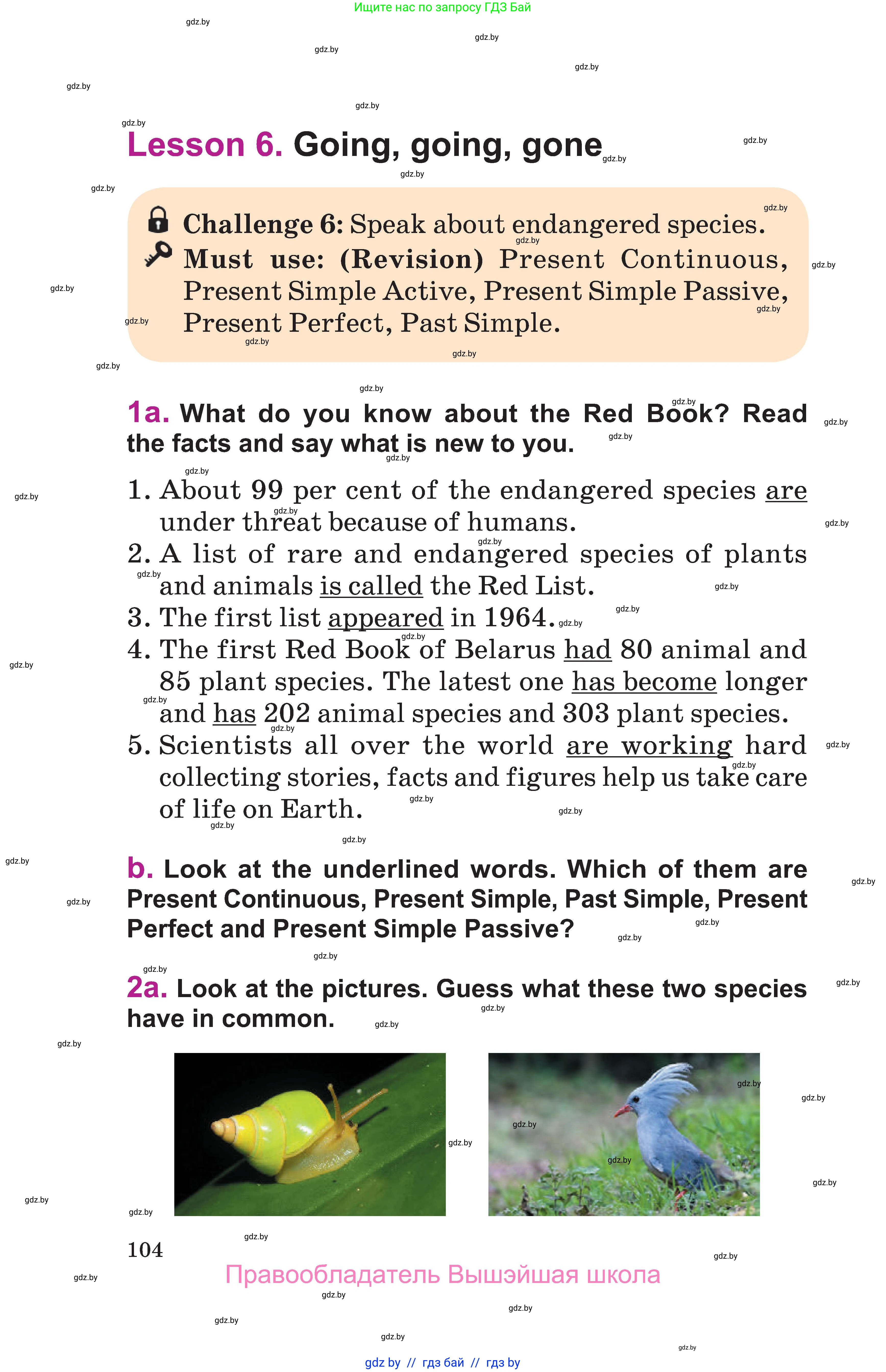Английский язык (english), 6 класс Учебник, авторы: Демченко Наталья Валентиновна, Севрюкова Татьяна Юрьевна, Юхнель Наталья Валентиновна, Наумова Елена Георгиевна, Рыбалко О Н, Манешина А В, Маслёнченко Н А, издательство Вышэйшая школа, Минск, 2018, красного цвета, Часть 1, страница 104