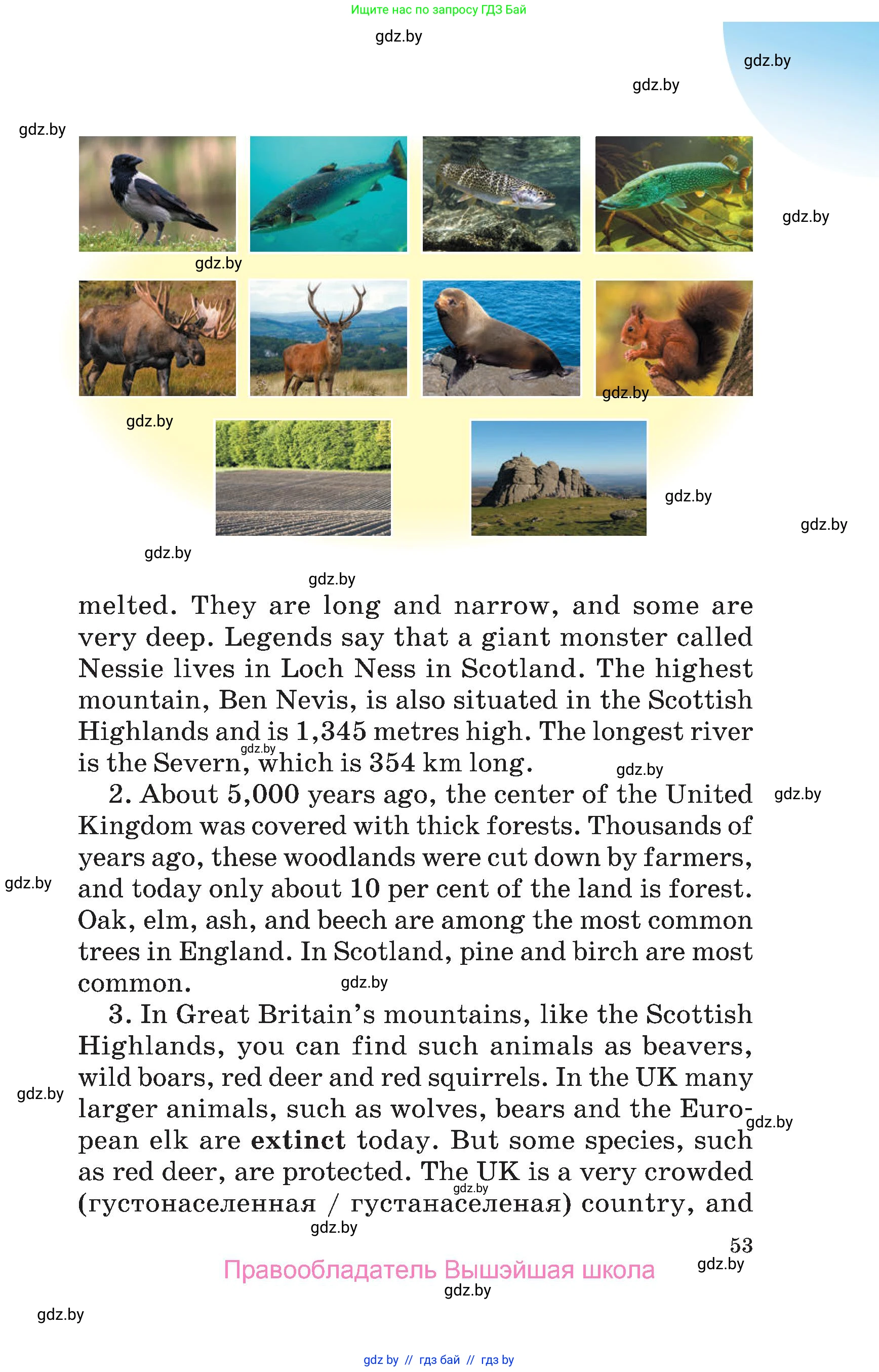 Английский язык (english), 6 класс Учебник, авторы: Демченко Наталья Валентиновна, Севрюкова Татьяна Юрьевна, Юхнель Наталья Валентиновна, Наумова Елена Георгиевна, Рыбалко О Н, Манешина А В, Маслёнченко Н А, издательство Вышэйшая школа, Минск, 2018, красного цвета, Часть 1, страница 53