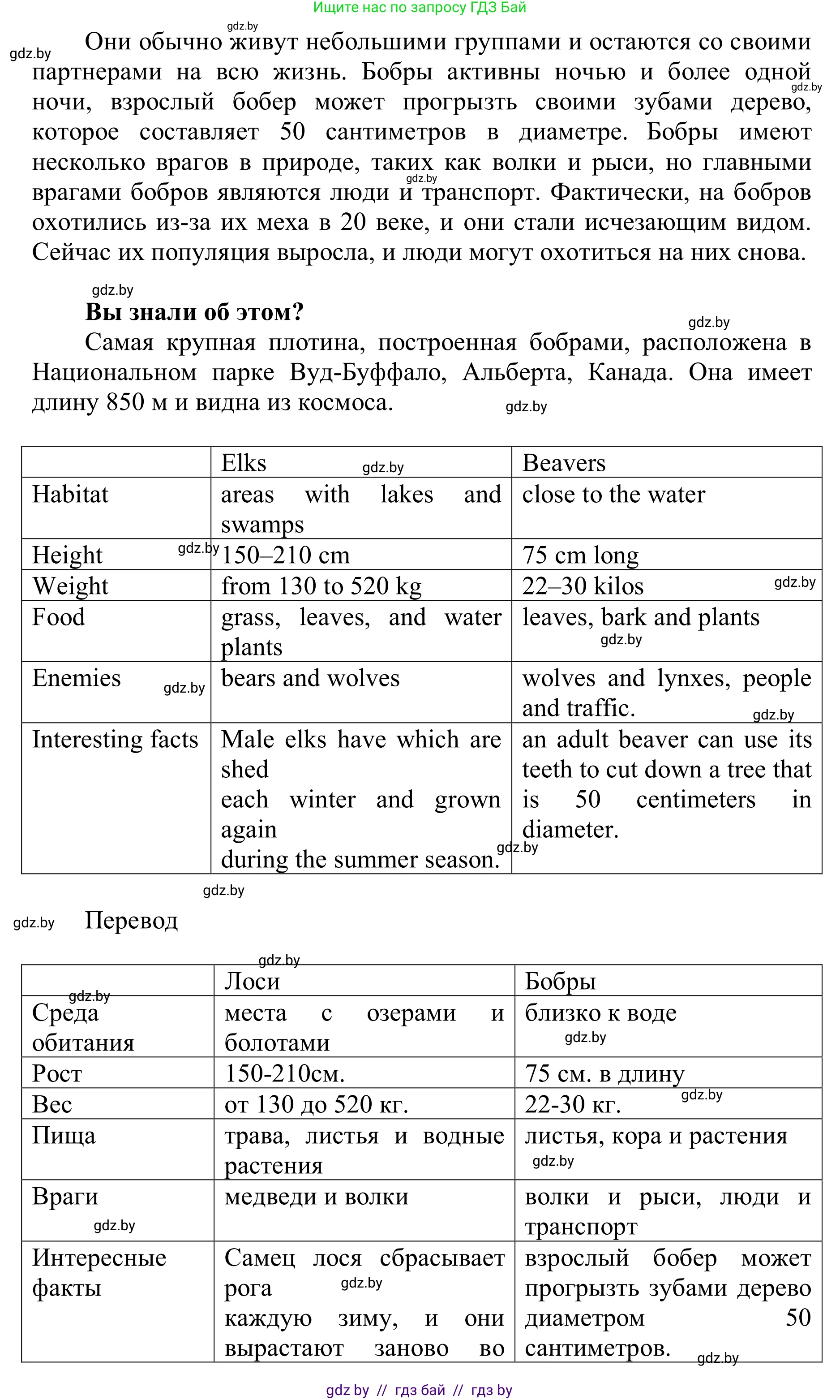 Английский язык (english), 6 класс Учебник, авторы: Демченко Наталья Валентиновна, Севрюкова Татьяна Юрьевна, Юхнель Наталья Валентиновна, Наумова Елена Георгиевна, Рыбалко О Н, Манешина А В, Маслёнченко Н А, издательство Вышэйшая школа, Минск, 2018, красного цвета, Часть 2, страница 56, номер 4, Решение (продолжение 2)