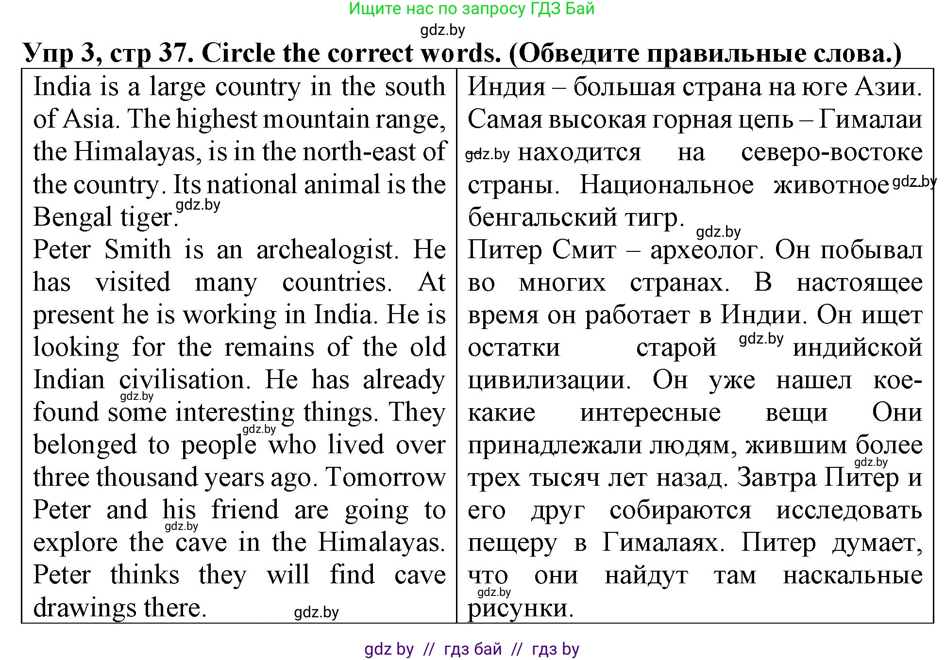 Английский язык (english), 6 класс Тетрадь по грамматике (grammar), авторы: Севрюкова Татьяна Юрьевна, Юхнель Наталья Валентиновна, Бушуева Эдите Владиславовна, издательство Аверсэв, Минск, 2022, зелёного цвета, страница 37, номер 3, Решение