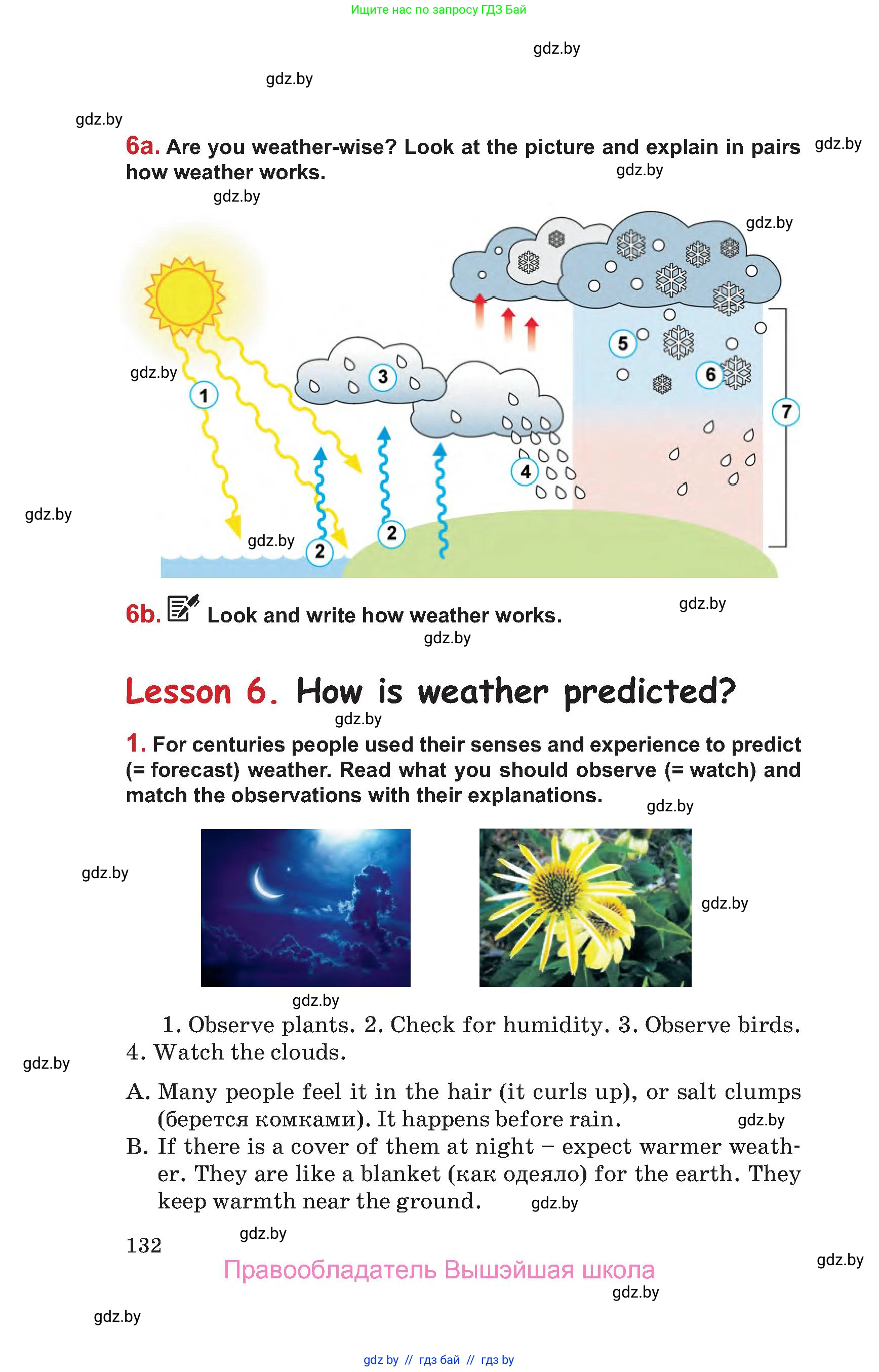 Английский язык (english), 9 класс Учебник (Student's book), авторы: Лапицкая Людмила Михайловна (Lapitskaya Ludmila), Демченко Наталья Валентиновна, Волков Андрей Валерьевич, Калишевич Алла Ивановна, Севрюкова Татьяна Юрьевна, Юхнель Наталья Валентиновна, издательство Вышэйшая школа, Минск, 2018, страница 132