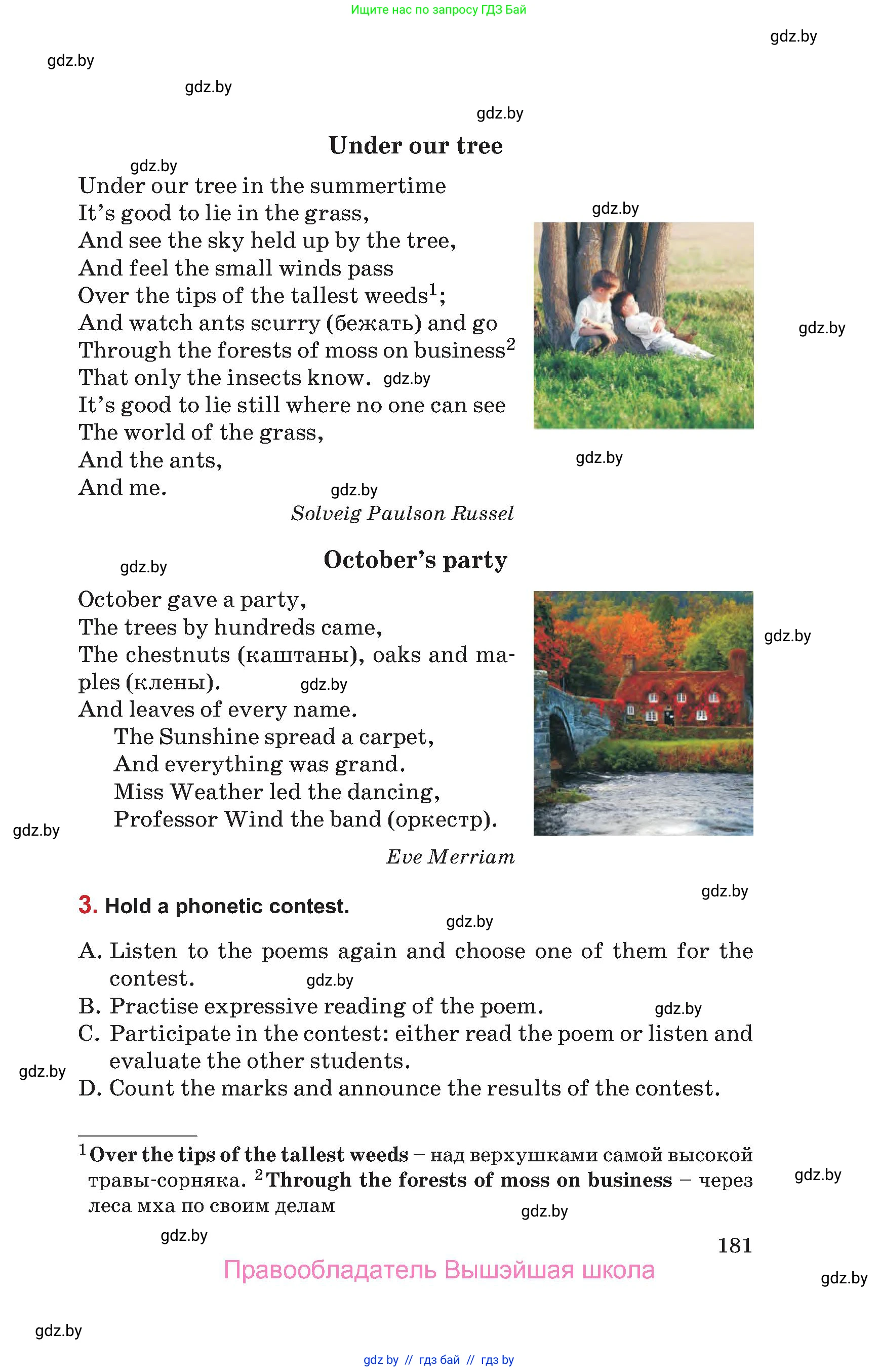 Английский язык (english), 9 класс Учебник (Student's book), авторы: Лапицкая Людмила Михайловна (Lapitskaya Ludmila), Демченко Наталья Валентиновна, Волков Андрей Валерьевич, Калишевич Алла Ивановна, Севрюкова Татьяна Юрьевна, Юхнель Наталья Валентиновна, издательство Вышэйшая школа, Минск, 2018, страница 181