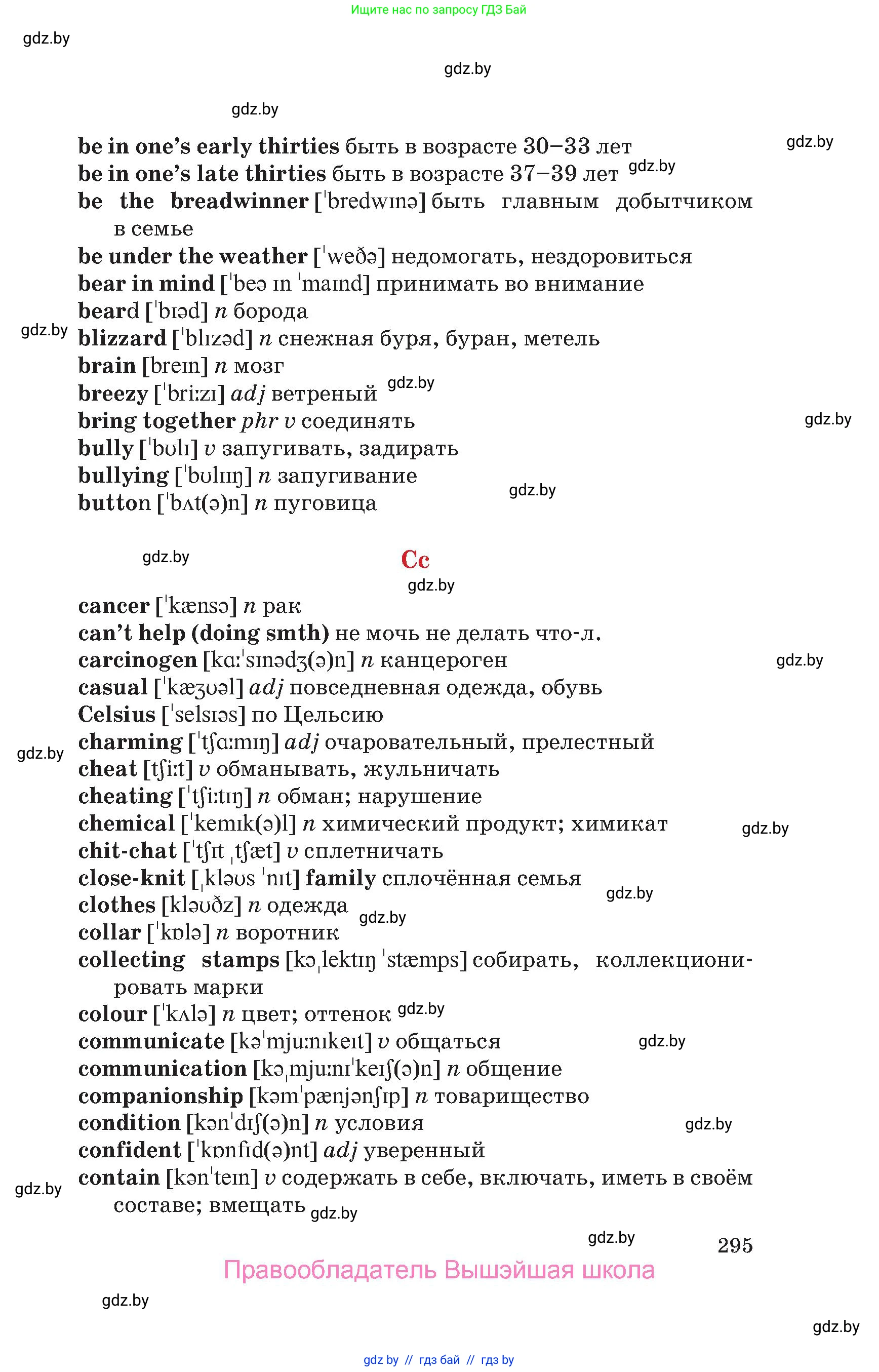 Английский язык (english), 9 класс Учебник (Student's book), авторы: Лапицкая Людмила Михайловна (Lapitskaya Ludmila), Демченко Наталья Валентиновна, Волков Андрей Валерьевич, Калишевич Алла Ивановна, Севрюкова Татьяна Юрьевна, Юхнель Наталья Валентиновна, издательство Вышэйшая школа, Минск, 2018, страница 295