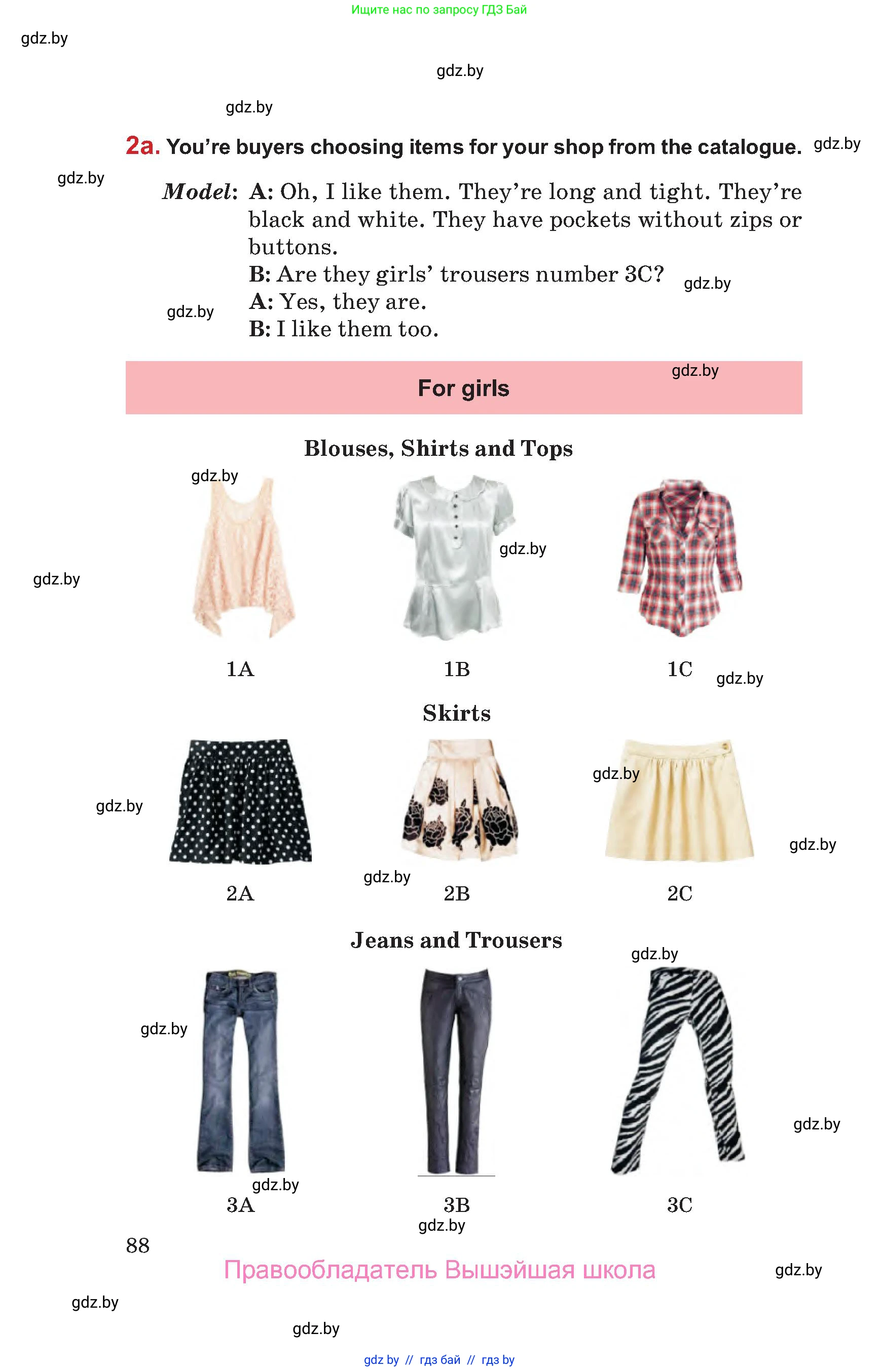 Английский язык (english), 9 класс Учебник (Student's book), авторы: Лапицкая Людмила Михайловна (Lapitskaya Ludmila), Демченко Наталья Валентиновна, Волков Андрей Валерьевич, Калишевич Алла Ивановна, Севрюкова Татьяна Юрьевна, Юхнель Наталья Валентиновна, издательство Вышэйшая школа, Минск, 2018, страница 88