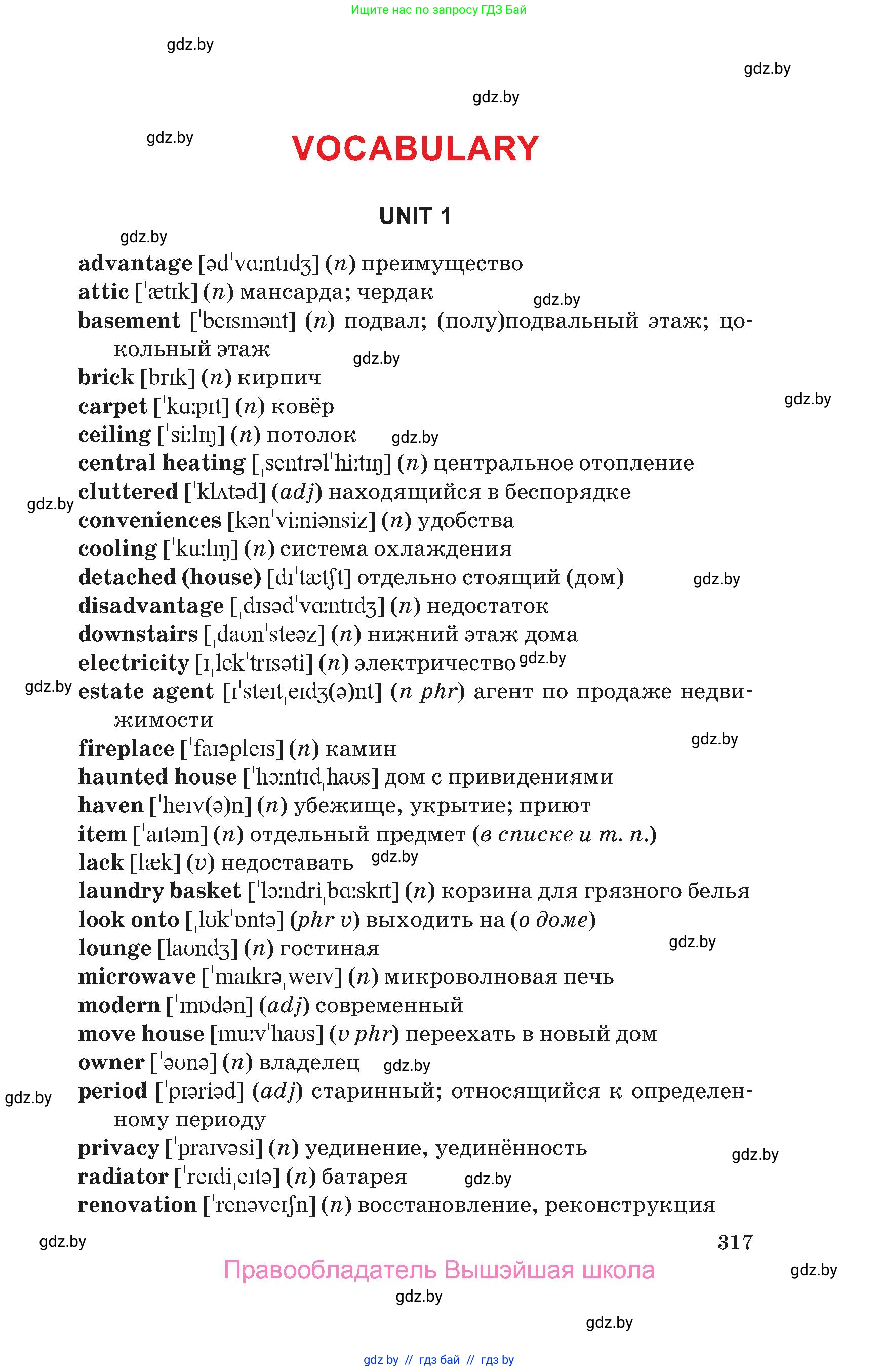 Английский язык (english), 10 класс Учебник (Student's book), авторы: Юхнель Наталья Валентиновна, Наумова Елена Георгиевна, Демченко Наталья Валентиновна, издательство Вышэйшая школа, Минск, 2019, страница 317