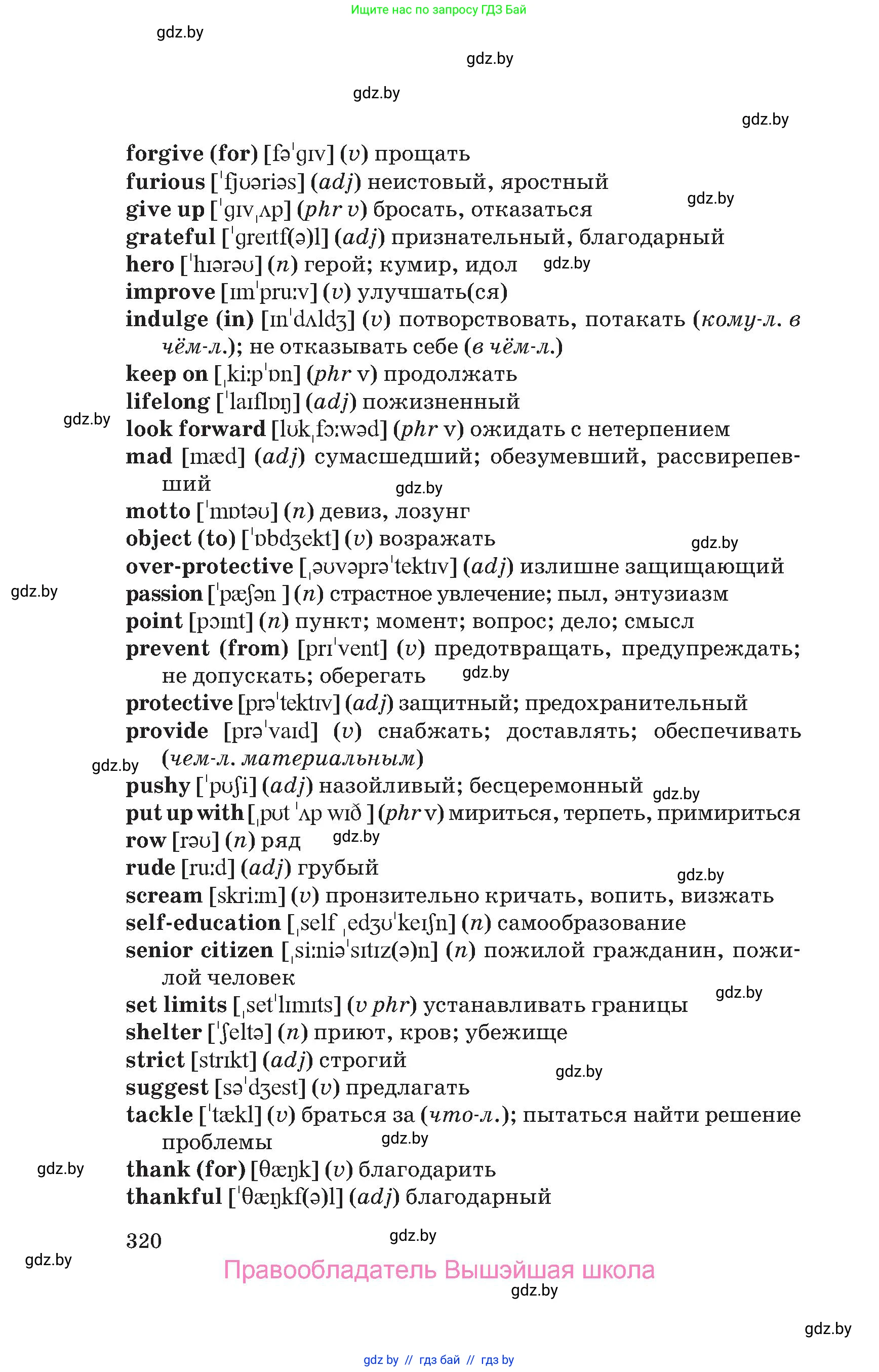 Английский язык (english), 10 класс Учебник (Student's book), авторы: Юхнель Наталья Валентиновна, Наумова Елена Георгиевна, Демченко Наталья Валентиновна, издательство Вышэйшая школа, Минск, 2019, страница 320