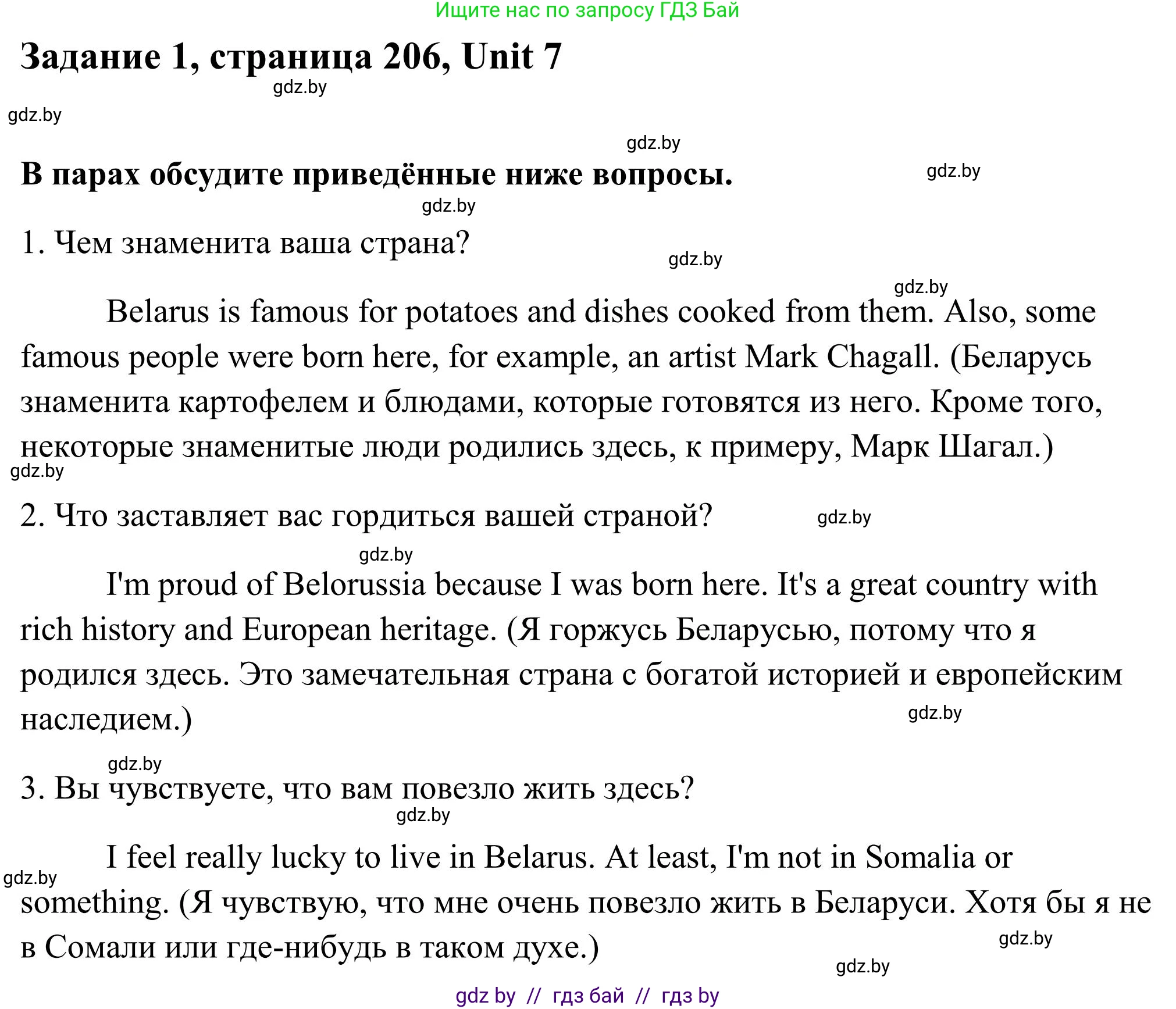 Английский язык (english), 10 класс Учебник (Student's book), авторы: Юхнель Наталья Валентиновна, Наумова Елена Георгиевна, Демченко Наталья Валентиновна, издательство Вышэйшая школа, Минск, 2019, страница 206, номер 1, Решение