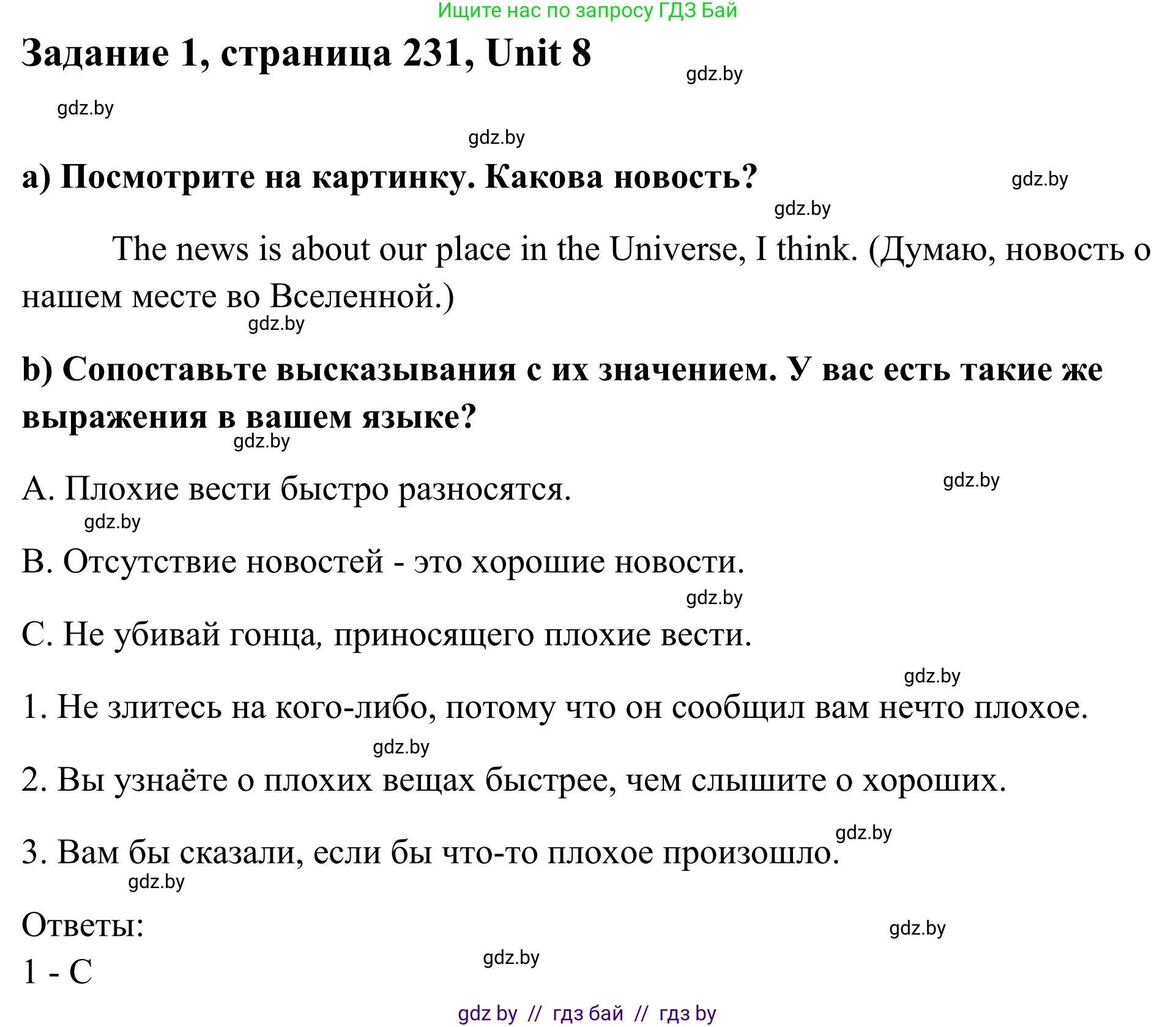 Английский язык (english), 10 класс Учебник (Student's book), авторы: Юхнель Наталья Валентиновна, Наумова Елена Георгиевна, Демченко Наталья Валентиновна, издательство Вышэйшая школа, Минск, 2019, страница 231, номер 1, Решение