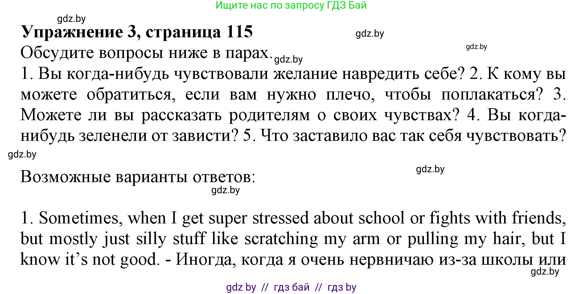 Английский язык (english), 10 класс Учебник (Student's book), авторы: Юхнель Наталья Валентиновна, Наумова Елена Георгиевна, Демченко Наталья Валентиновна, издательство Вышэйшая школа, Минск, 2019, страница 115, номер 3, Решение 2