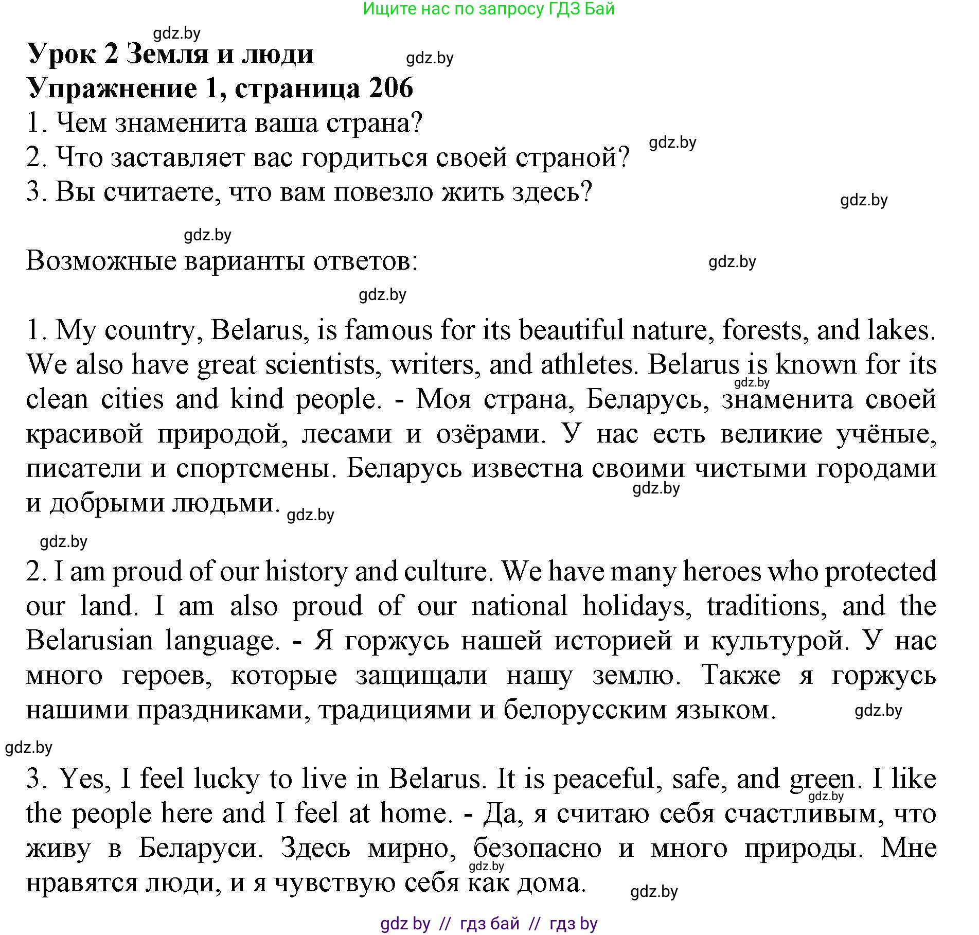 Английский язык (english), 10 класс Учебник (Student's book), авторы: Юхнель Наталья Валентиновна, Наумова Елена Георгиевна, Демченко Наталья Валентиновна, издательство Вышэйшая школа, Минск, 2019, страница 206, номер 1, Решение 2