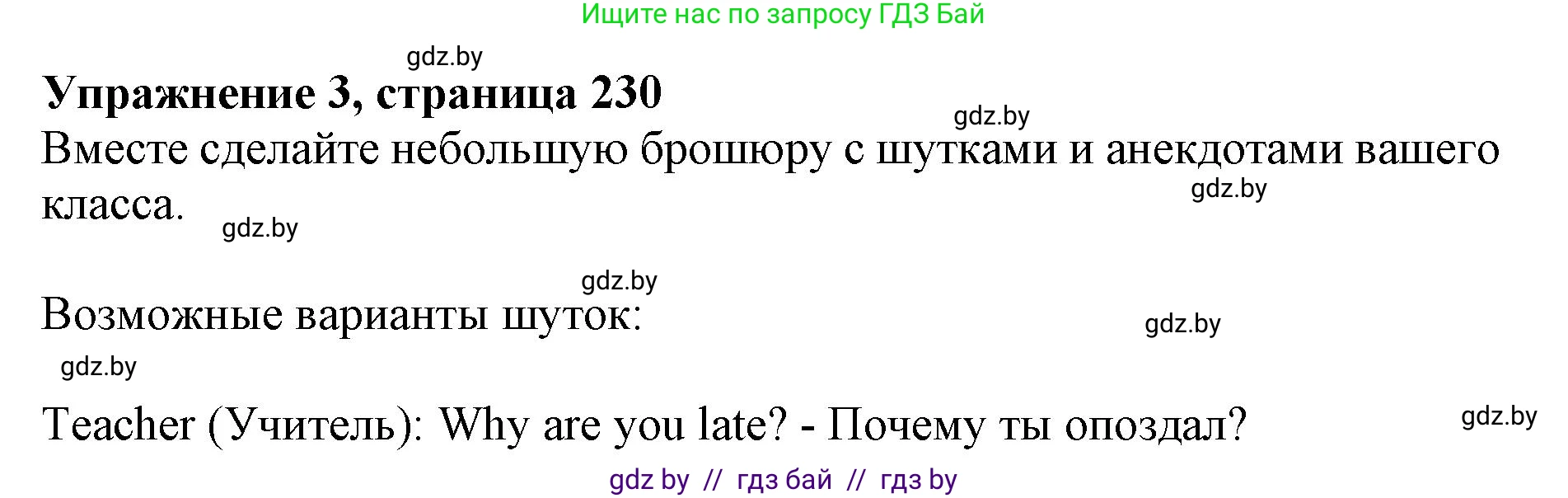 Английский язык (english), 10 класс Учебник (Student's book), авторы: Юхнель Наталья Валентиновна, Наумова Елена Георгиевна, Демченко Наталья Валентиновна, издательство Вышэйшая школа, Минск, 2019, страница 230, номер 3, Решение 2
