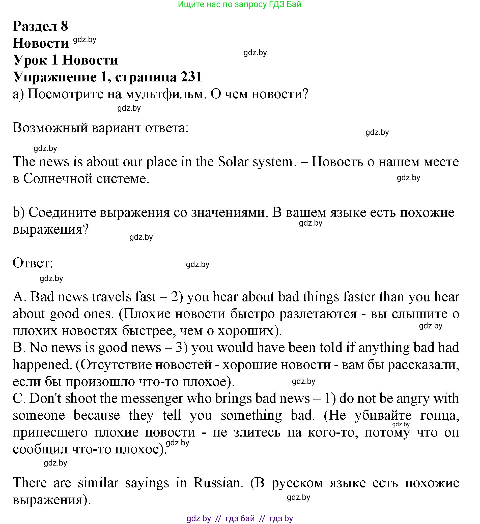 Английский язык (english), 10 класс Учебник (Student's book), авторы: Юхнель Наталья Валентиновна, Наумова Елена Георгиевна, Демченко Наталья Валентиновна, издательство Вышэйшая школа, Минск, 2019, страница 231, номер 1, Решение 2