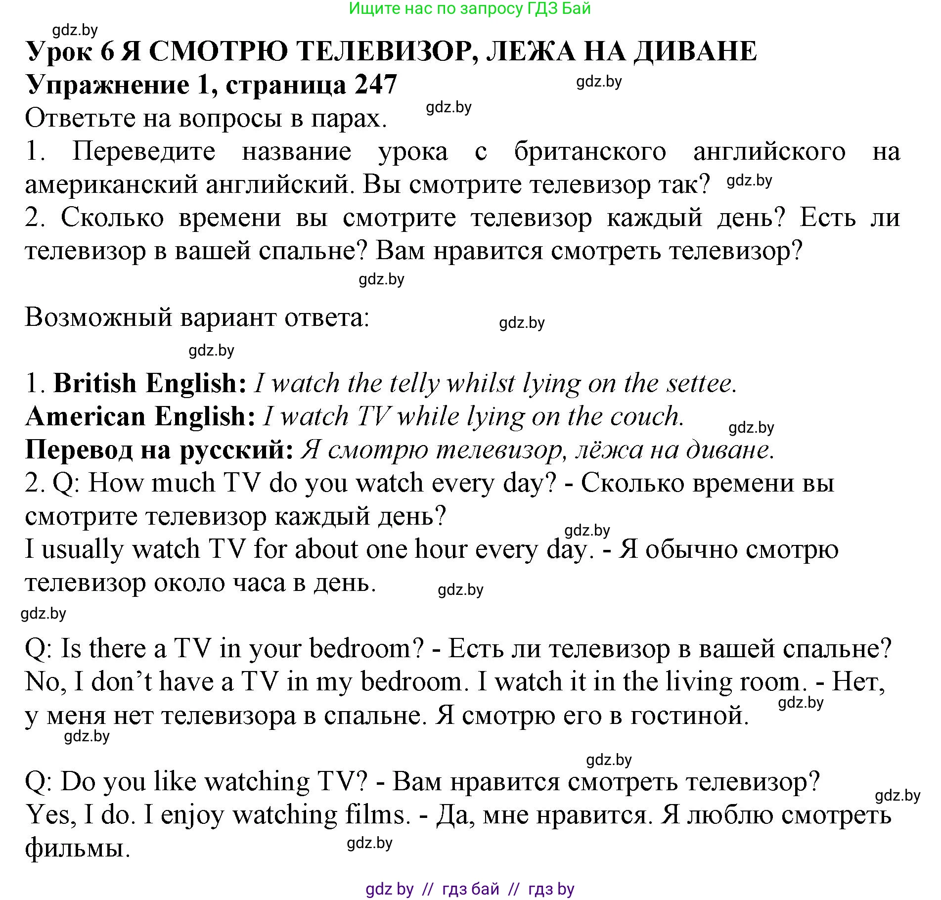 Английский язык (english), 10 класс Учебник (Student's book), авторы: Юхнель Наталья Валентиновна, Наумова Елена Георгиевна, Демченко Наталья Валентиновна, издательство Вышэйшая школа, Минск, 2019, страница 247, номер 1, Решение 2