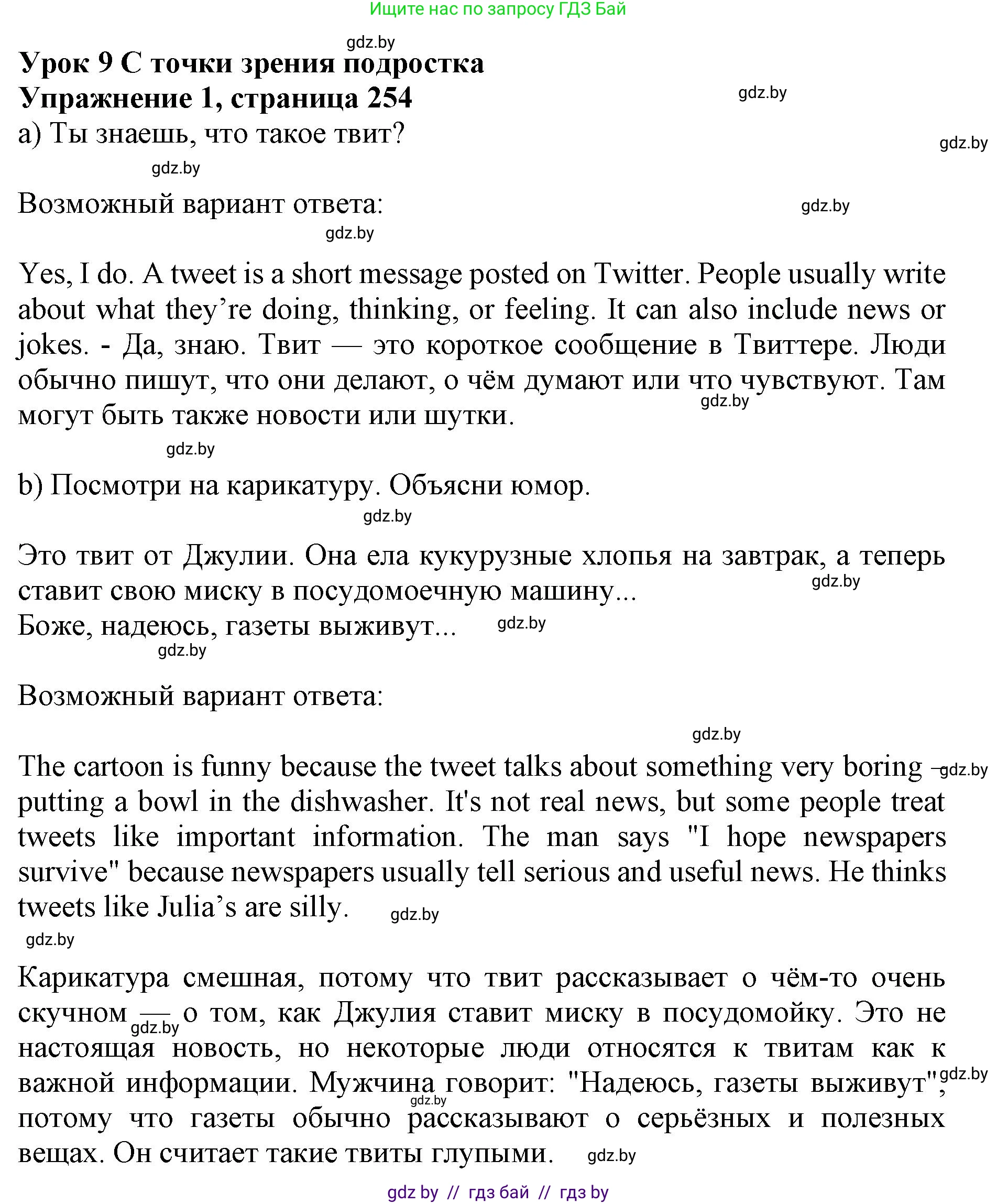 Английский язык (english), 10 класс Учебник (Student's book), авторы: Юхнель Наталья Валентиновна, Наумова Елена Георгиевна, Демченко Наталья Валентиновна, издательство Вышэйшая школа, Минск, 2019, страница 254, номер 1, Решение 2