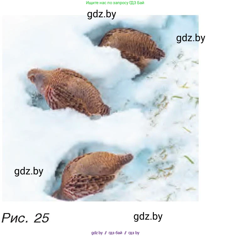 Физика, 8 класс Учебник, авторы: Исаченкова Лариса Артёмовна, Громыко Елена Владимировна, Дорофейчик Владимир Владимирович, Лещинский Юрий Дмитриевич, издательство Адукацыя i выхаванне, Минск, 2024, страница 15, номер 9, Условие (продолжение 2)