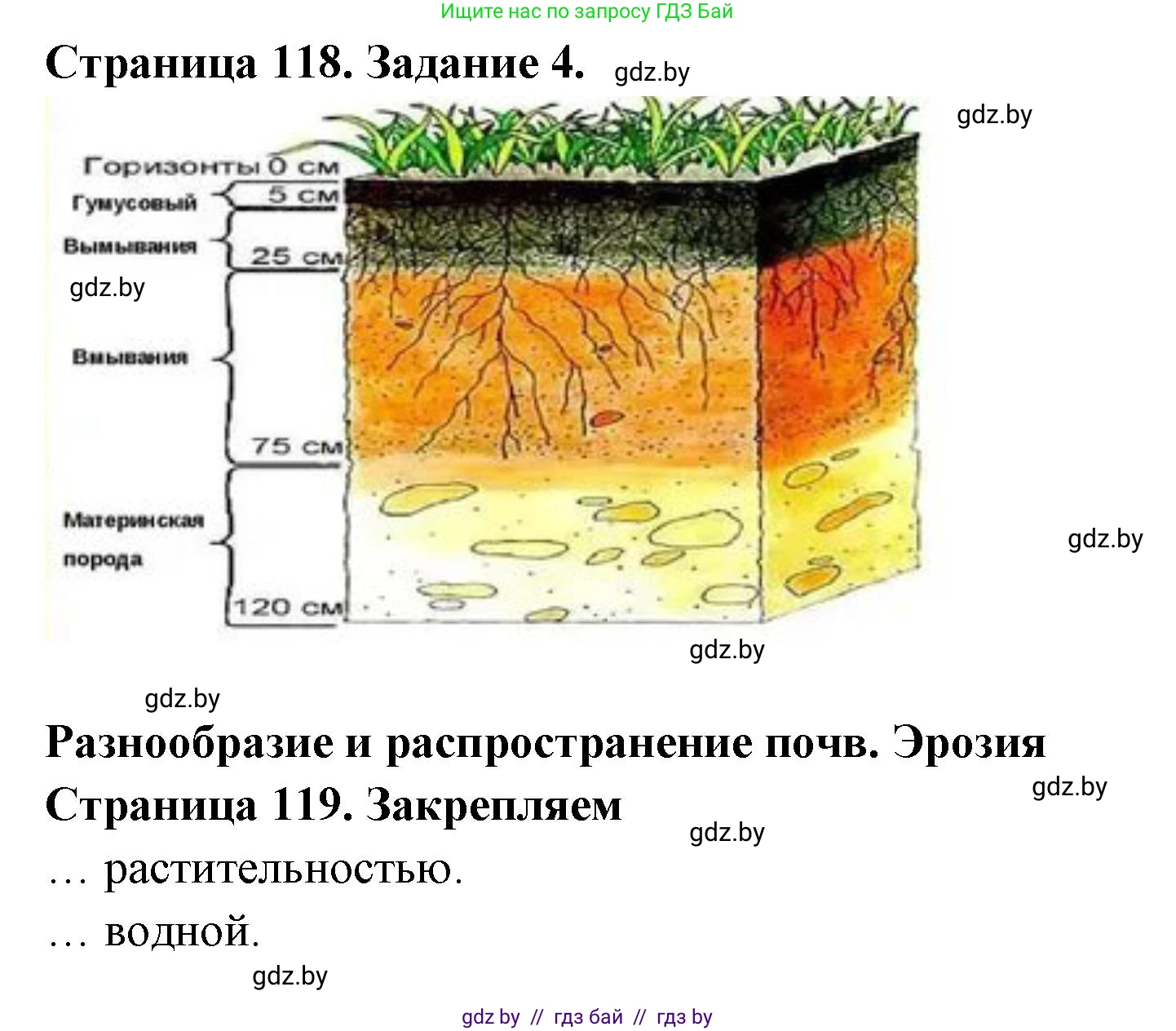 География, 6 класс рабочая тетрадь, авторы: Кольмакова Елена Генадьевна, Пикулик Валентина Владимировна, издательство Аверсэв, Минск, 2022, бирюзового цвета, страница 118, номер 4, Решение