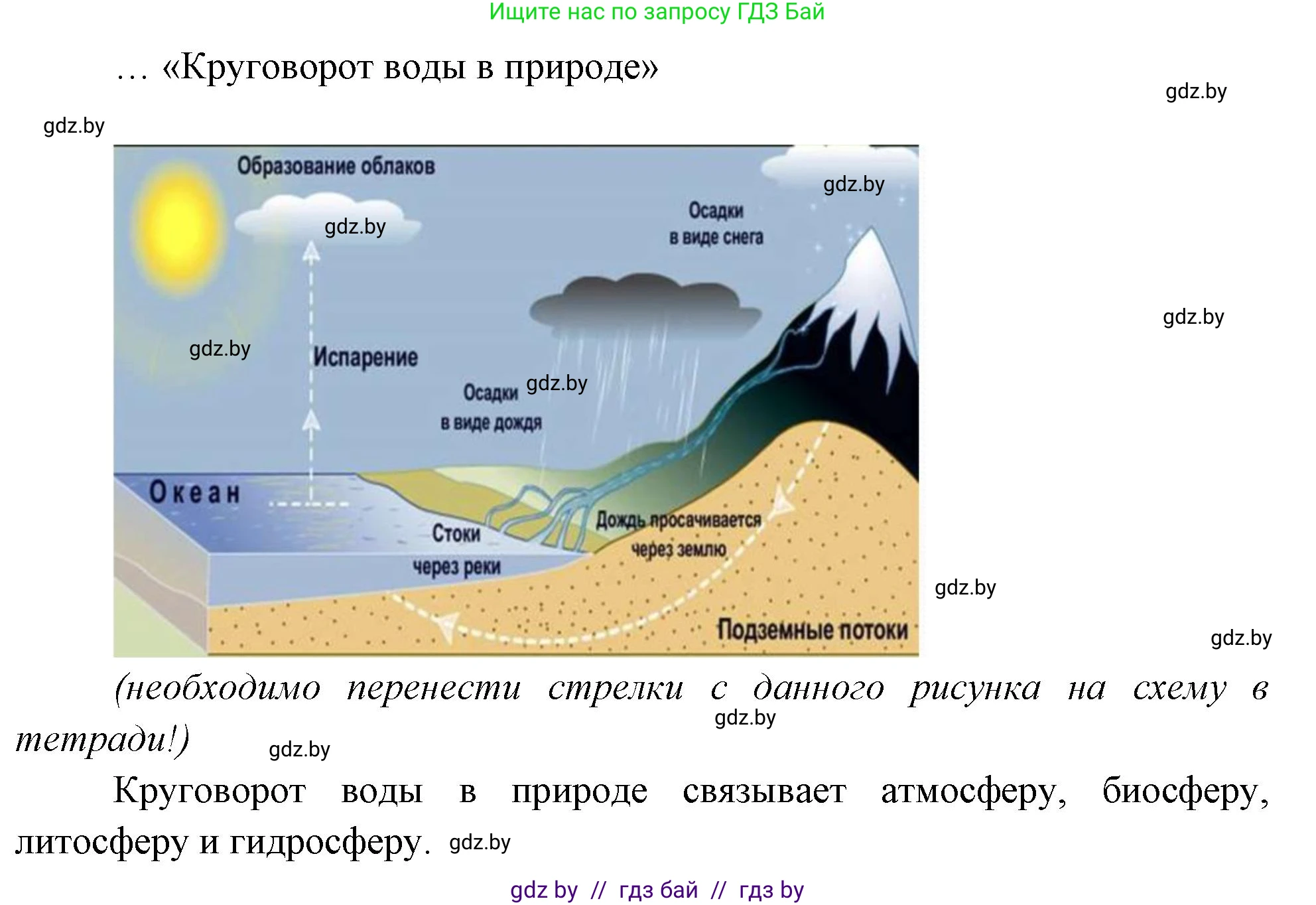 География, 7 класс рабочая тетрадь, авторы: Кольмакова Елена Генадьевна, Сарычева Ольга Владимировна, Тарасенок Елена Николаевна, издательство Аверсэв, Минск, 2024, страница 5, номер 4, Решение (продолжение 2)