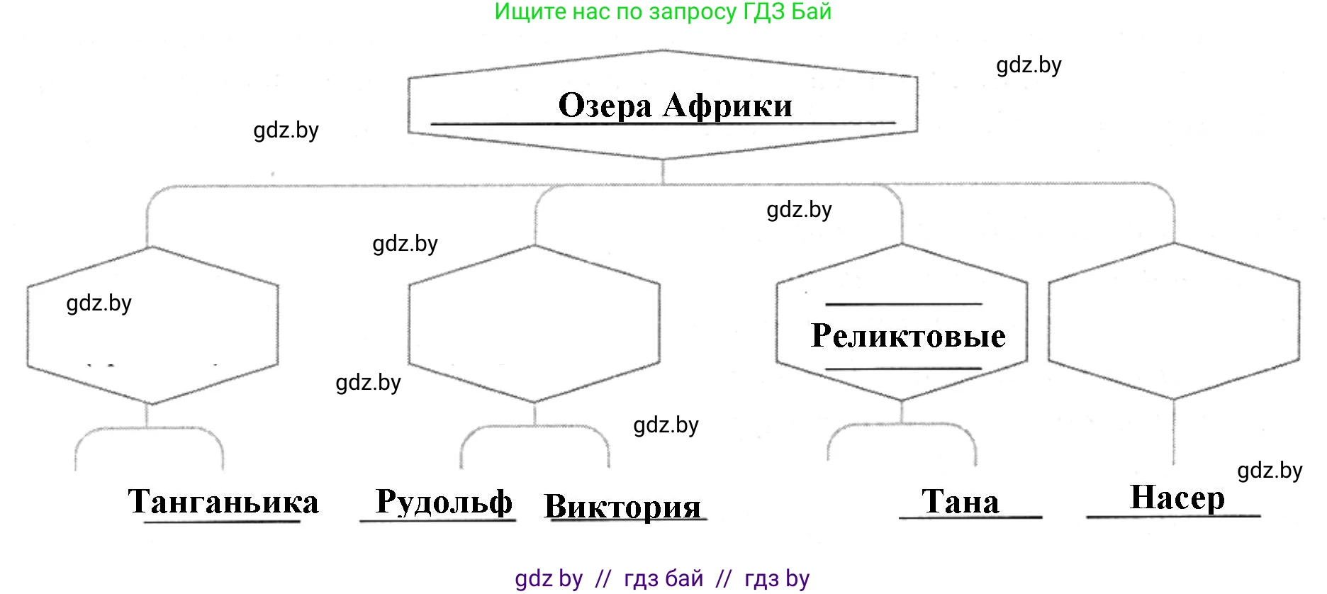 География, 7 класс рабочая тетрадь, авторы: Кольмакова Елена Генадьевна, Сарычева Ольга Владимировна, Тарасенок Елена Николаевна, издательство Аверсэв, Минск, 2024, страница 39, номер 3, Решение