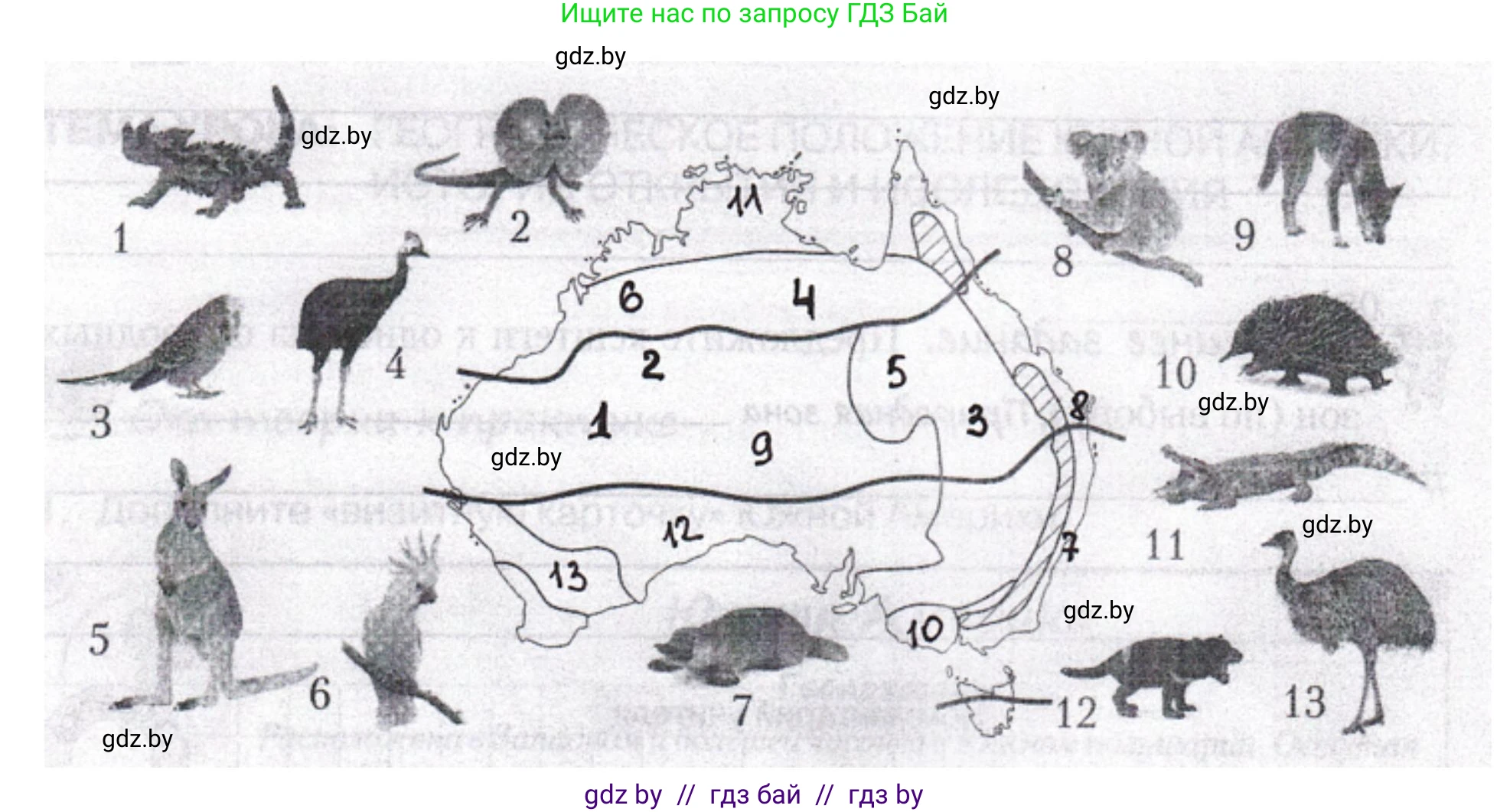 География, 7 класс рабочая тетрадь, авторы: Кольмакова Елена Генадьевна, Сарычева Ольга Владимировна, Тарасенок Елена Николаевна, издательство Аверсэв, Минск, 2024, страница 53, номер 5, Решение