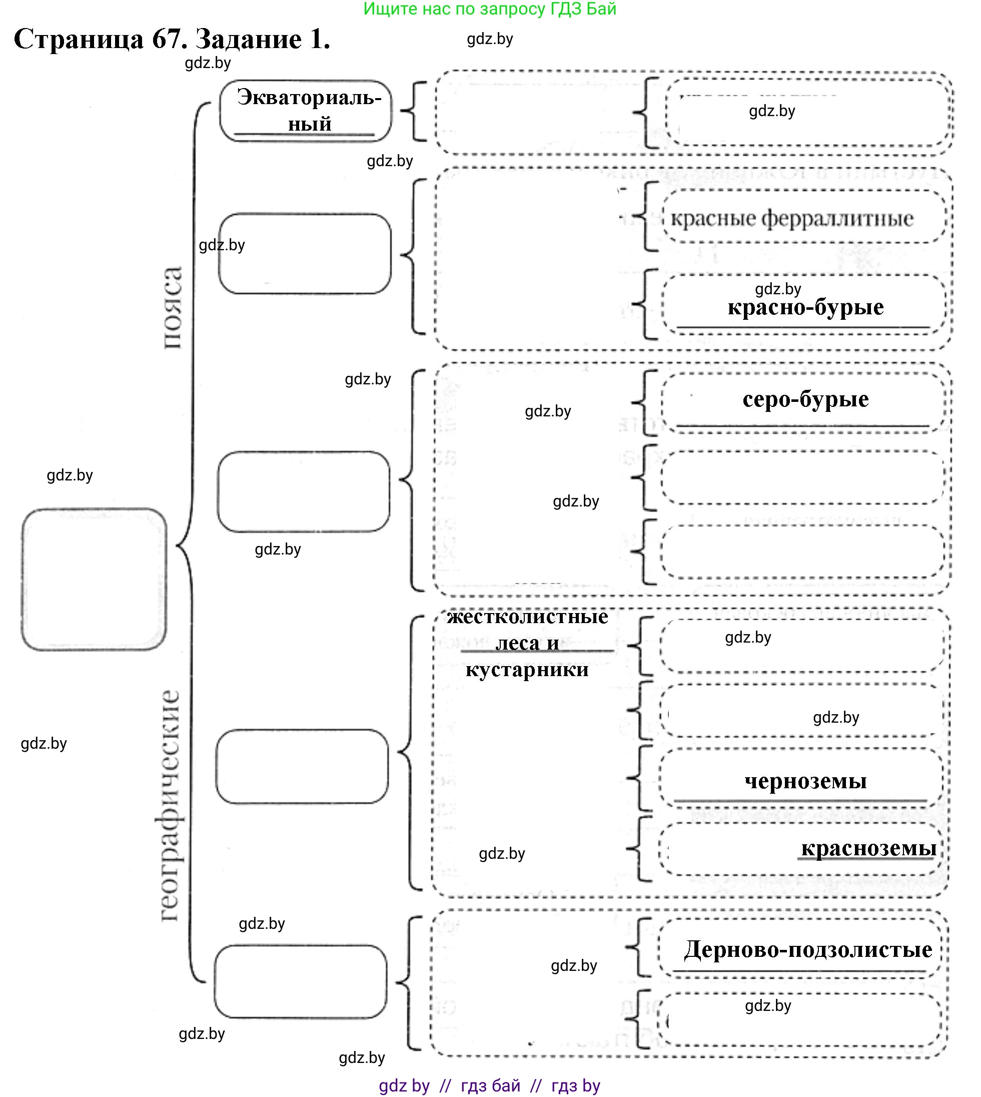 География, 7 класс рабочая тетрадь, авторы: Кольмакова Елена Генадьевна, Сарычева Ольга Владимировна, Тарасенок Елена Николаевна, издательство Аверсэв, Минск, 2024, страница 67, номер 1, Решение