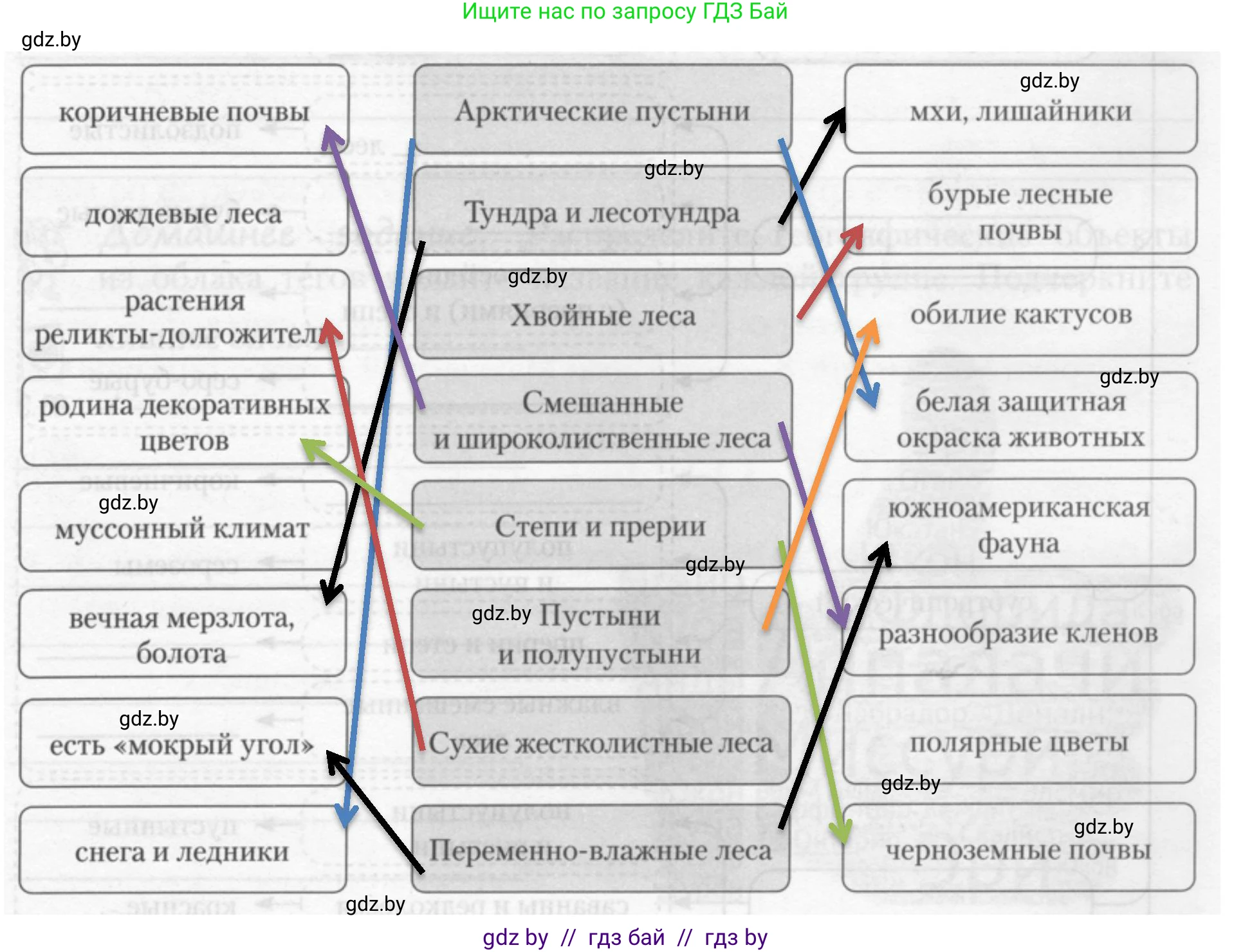 География, 7 класс рабочая тетрадь, авторы: Кольмакова Елена Генадьевна, Сарычева Ольга Владимировна, Тарасенок Елена Николаевна, издательство Аверсэв, Минск, 2024, страница 84, номер 3, Решение