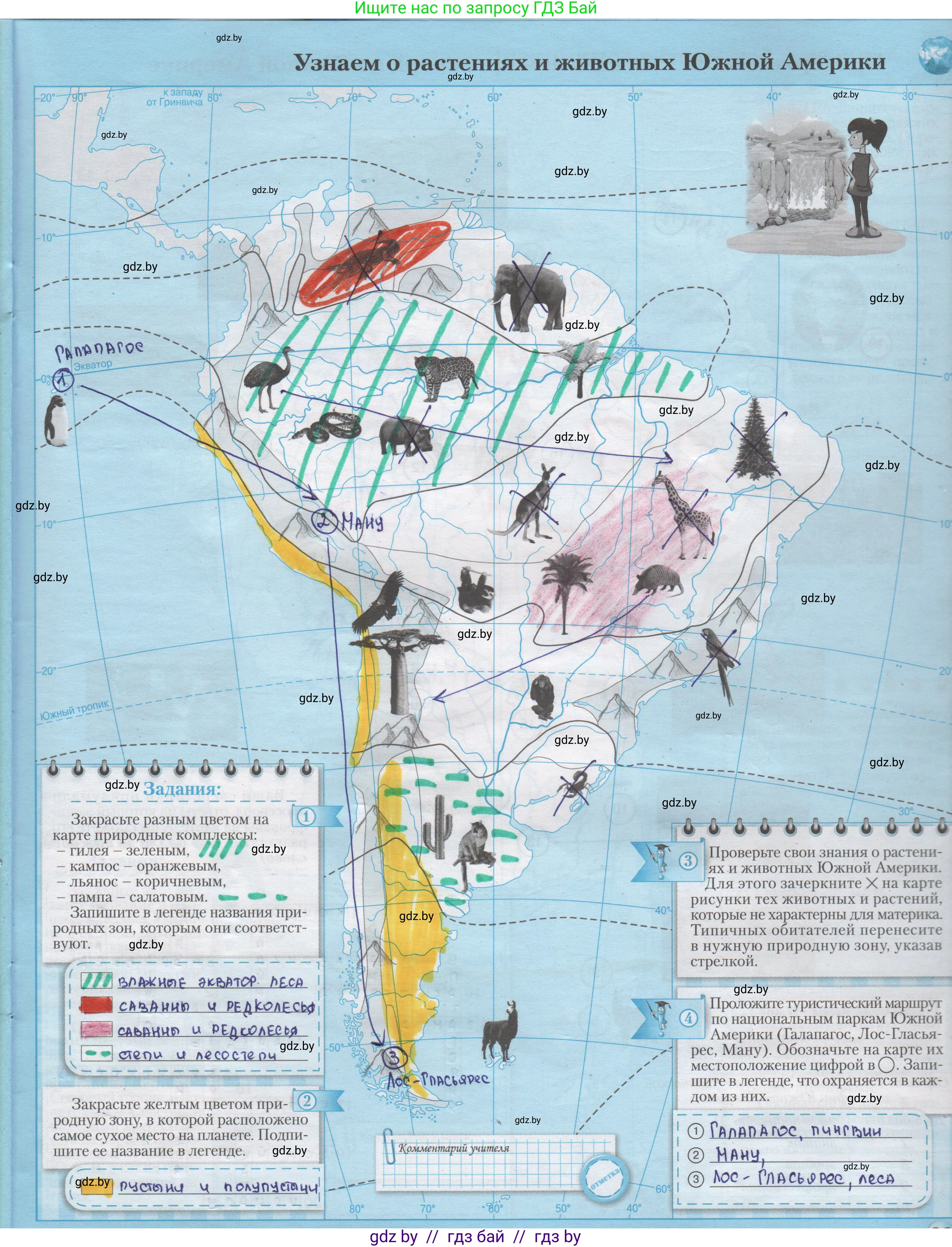 География, 7 класс Контурные карты, авторы: Кольмакова Елена Генадьевна, Сарычева Ольга Владимировна, издательство Белкартография, Минск, 2021, голубого цвета, страница 29, Решение