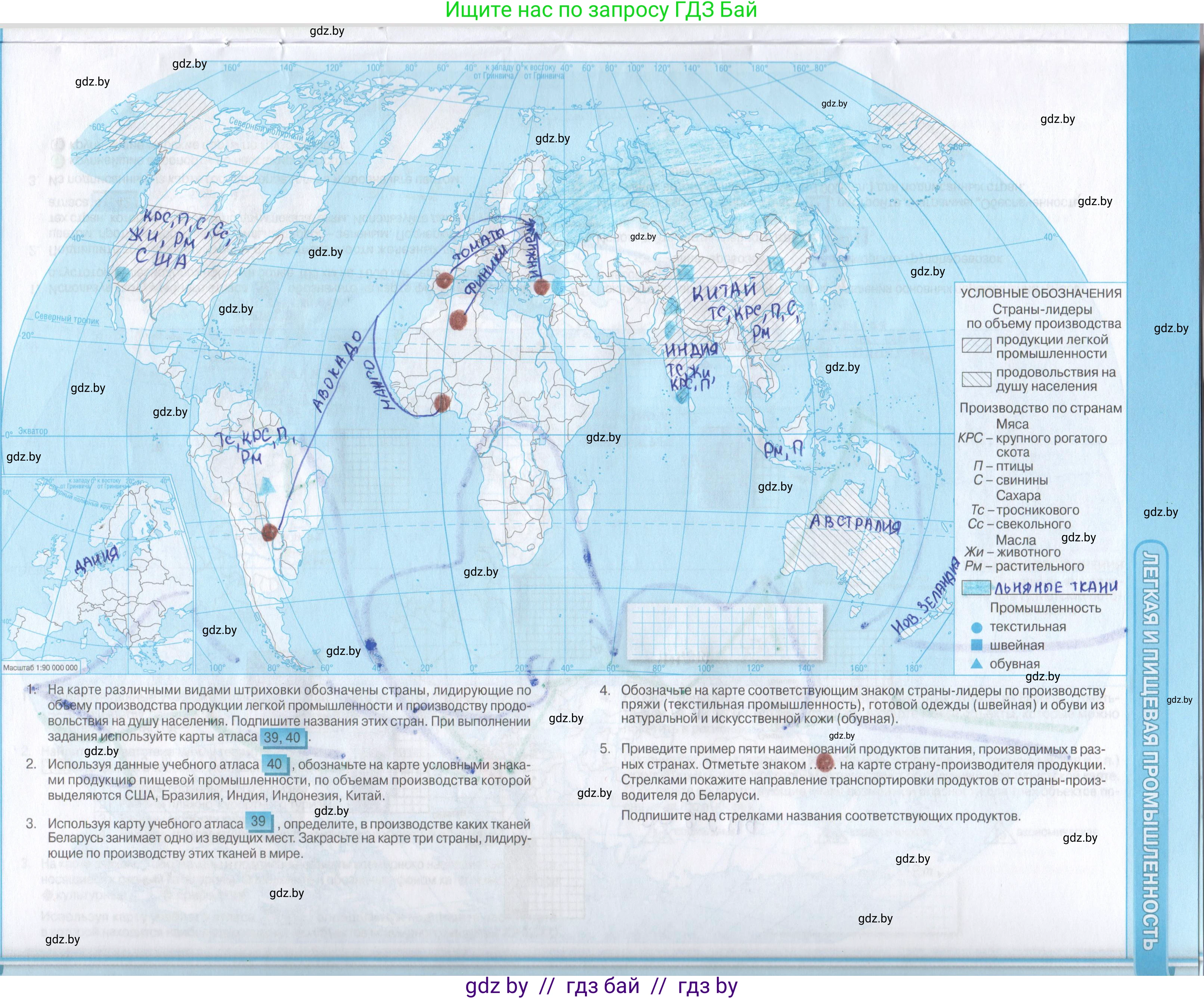 География, 8 класс Контурные карты, авторы: Озем Г З, Ольмец Л Г, Шкель Людмила Валерьевна, Фокеева Л В, издательство Белкартография, Минск, 2022, голубого цвета, страница 19, Решение