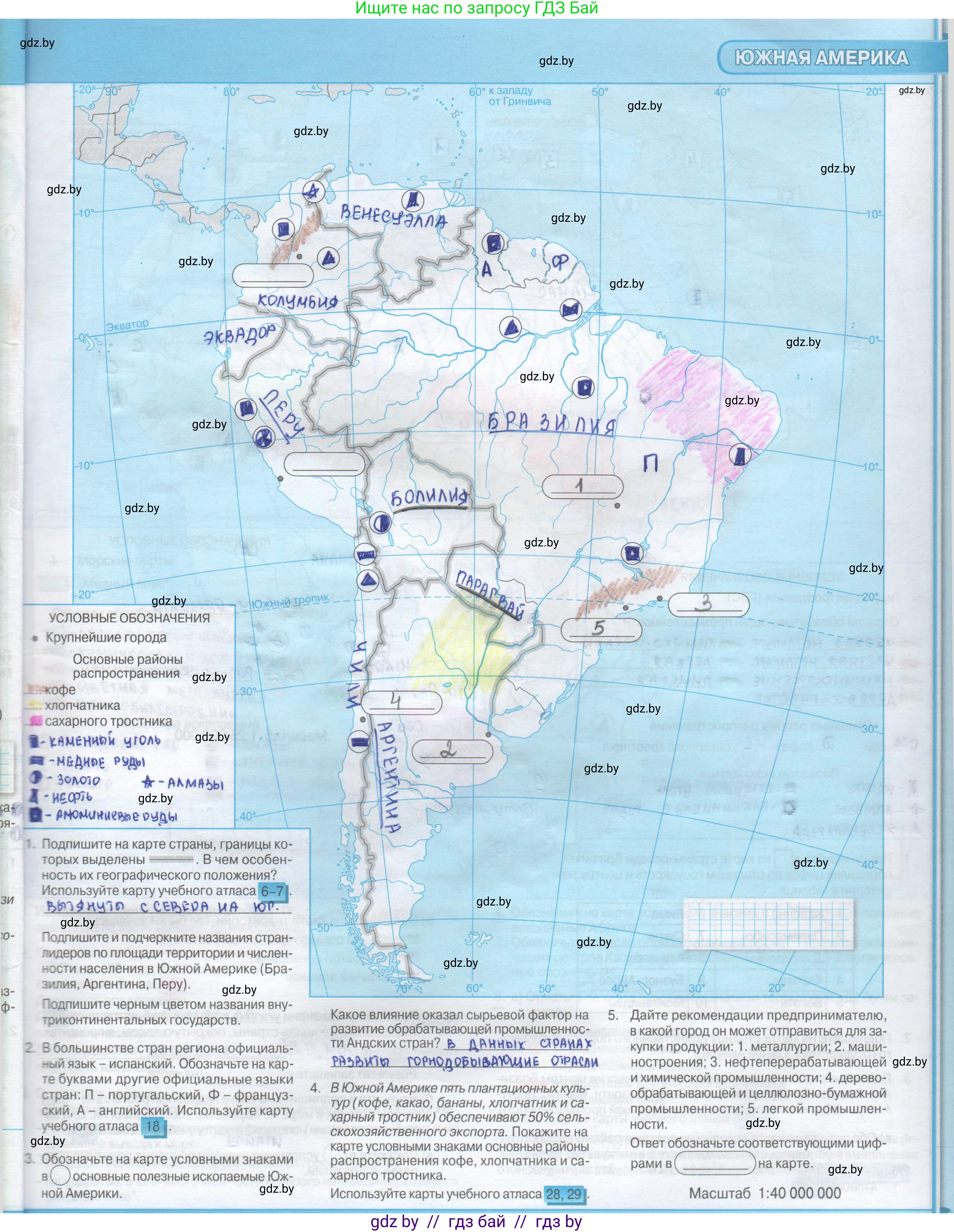 География, 8 класс Контурные карты, авторы: Озем Г З, Ольмец Л Г, Шкель Людмила Валерьевна, Фокеева Л В, издательство Белкартография, Минск, 2022, голубого цвета, страница 43, Решение