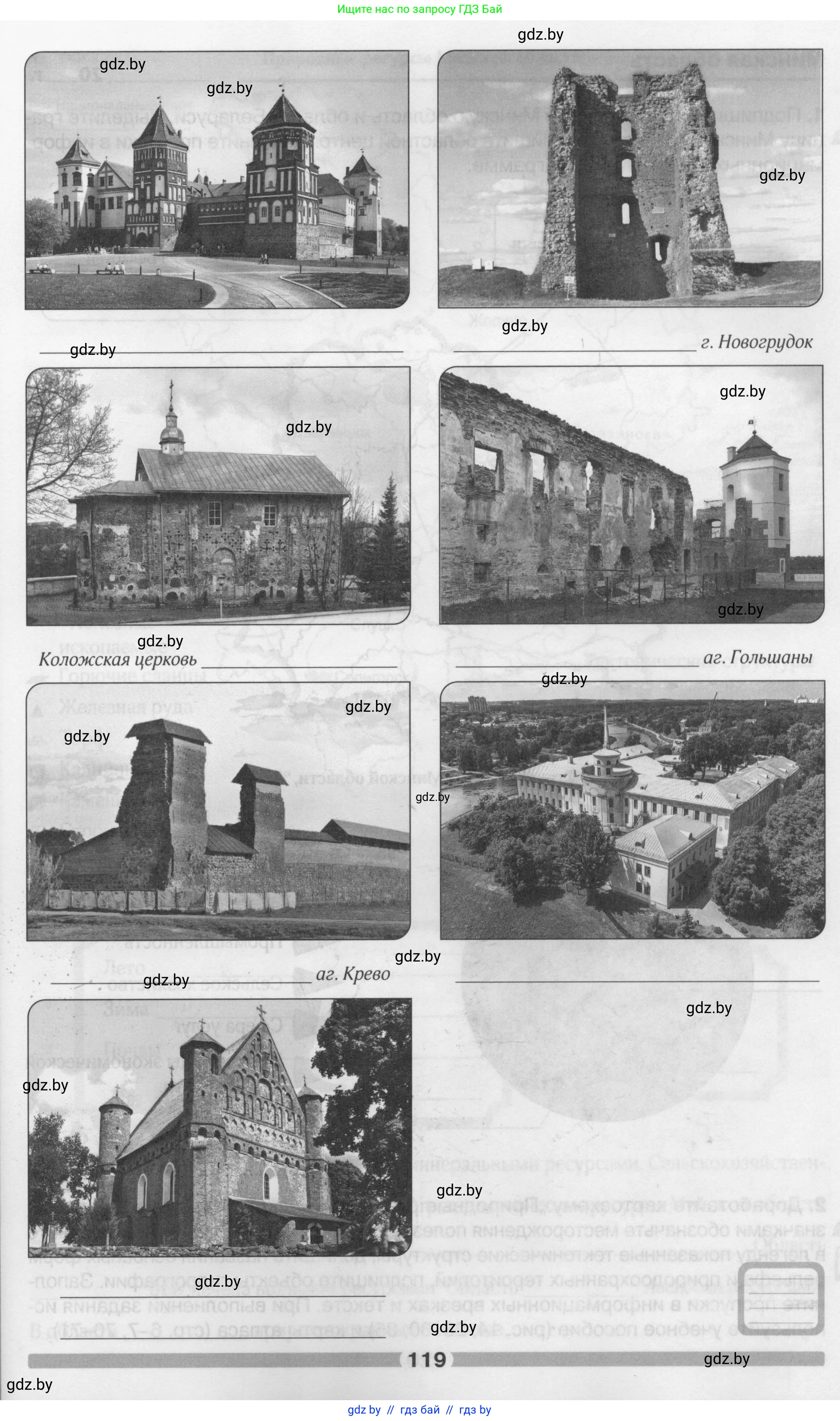 География, 9 класс рабочая тетрадь, авторы: Брилевский Михаил Николаевич, Климович Алеся Владимировна, издательство Белкартография, Минск, 2021, бирюзового цвета, страница 119