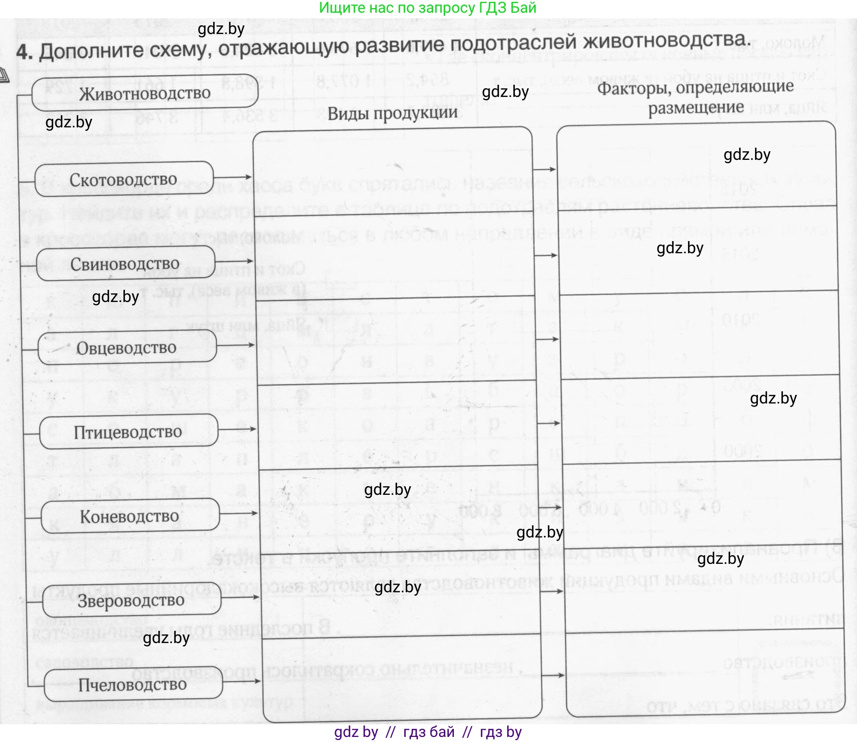 География, 9 класс рабочая тетрадь, авторы: Брилевский Михаил Николаевич, Климович Алеся Владимировна, издательство Белкартография, Минск, 2021, бирюзового цвета, страница 66, номер 4, Условие