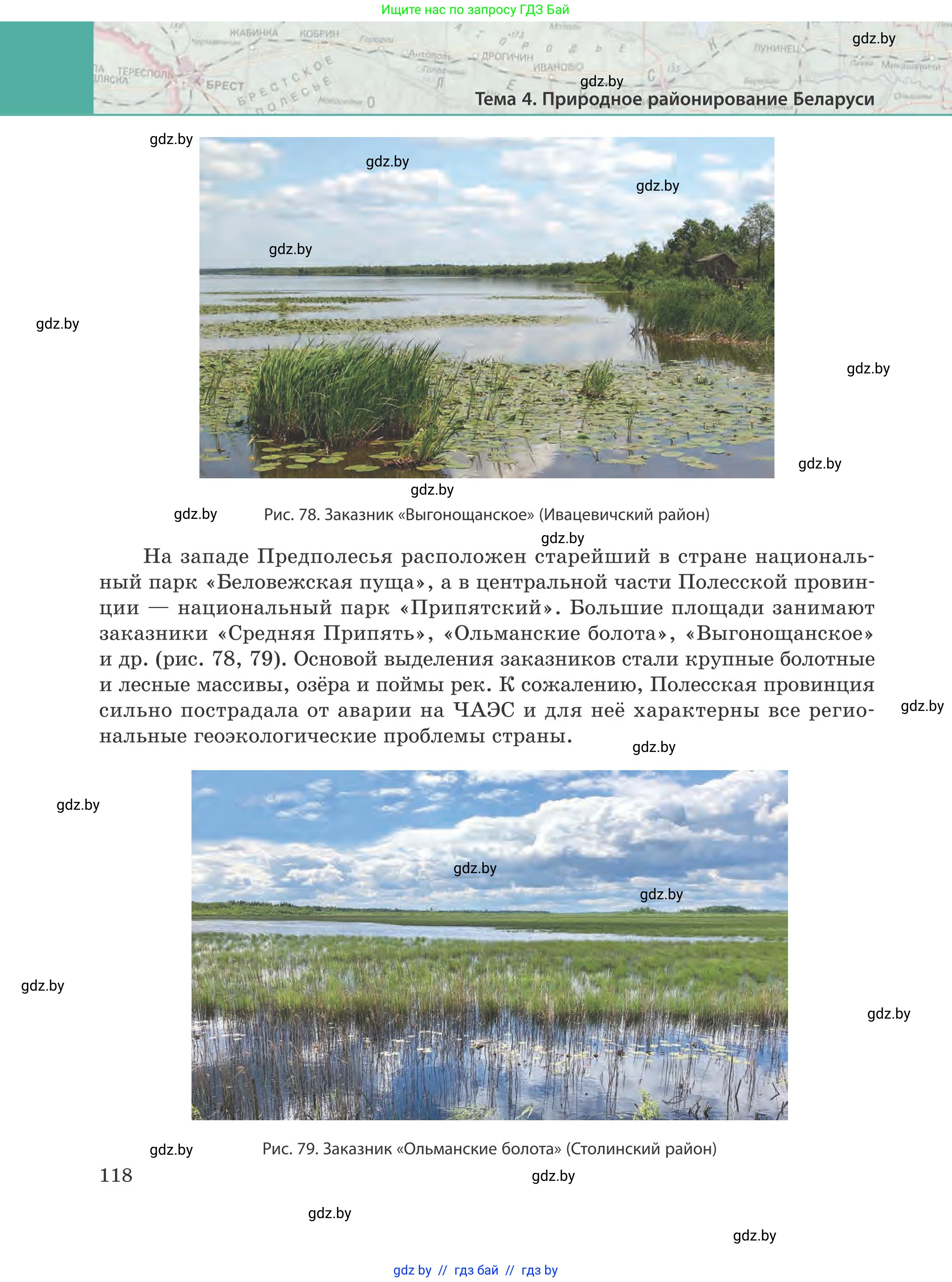 География, 9 класс Учебник, авторы: Брилевский Михаил Николаевич, Климович Алеся Владимировна, издательство Адукацыя i выхаванне, Минск, 2025, страница 118