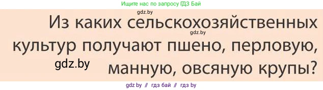 География, 9 класс Учебник, авторы: Брилевский Михаил Николаевич, Климович Алеся Владимировна, издательство Адукацыя i выхаванне, Минск, 2025, страница 196, Условие 2025