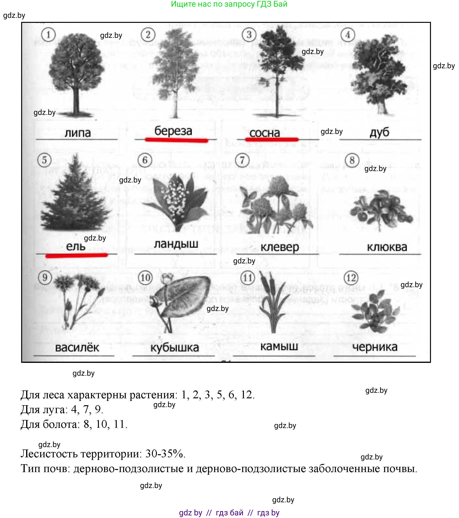 География, 9 класс тетрадь для практических и самостоятельных работ, авторы: Кольмакова Елена Генадьевна, Пикулик Валентина Владимировна, Сарычева Ольга Владимировна, издательство Аверсэв, Минск, 2020, страница 21, номер 6, Решение (продолжение 2)