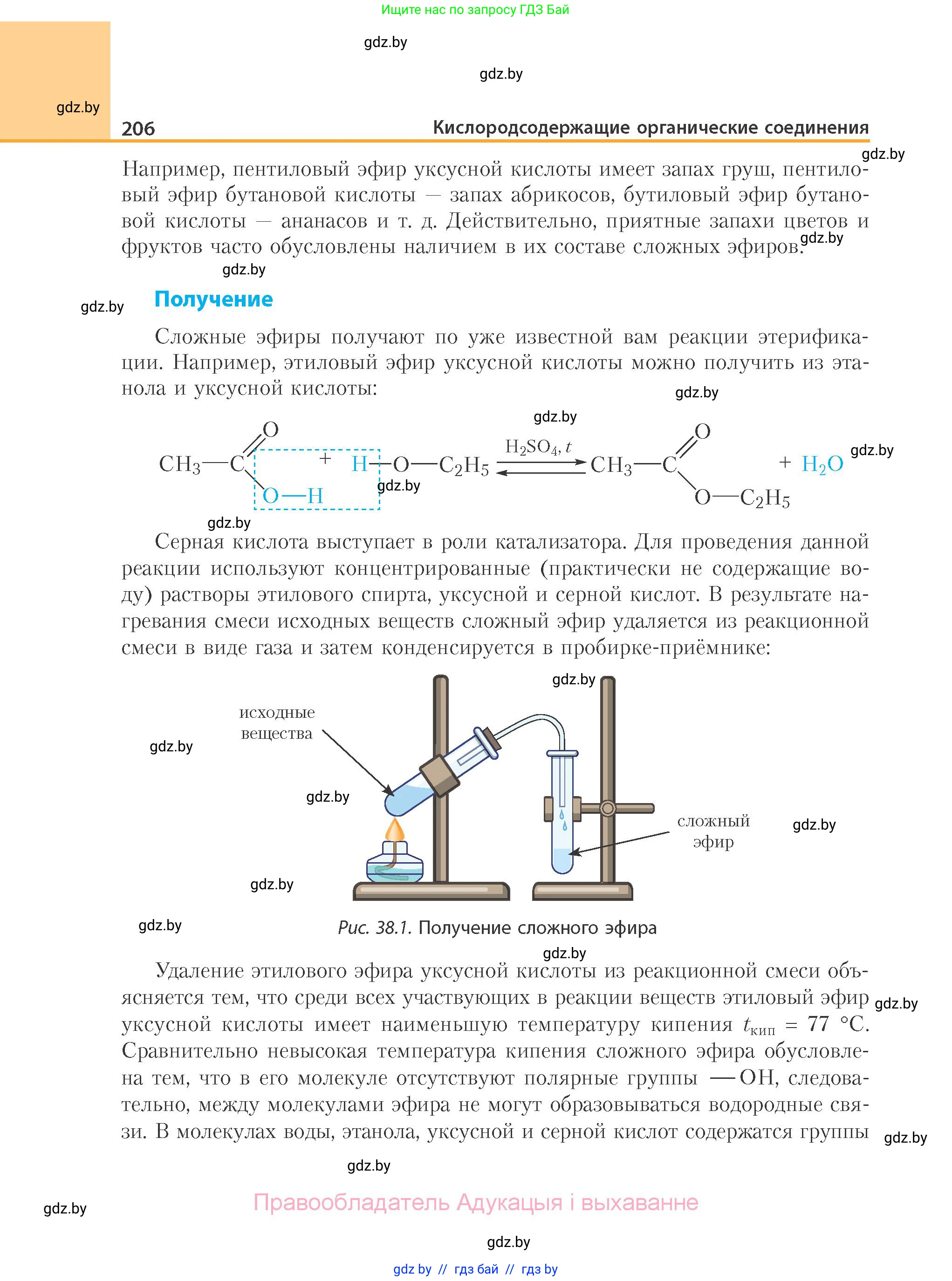 Химия, 10 класс Учебник, авторы: Колевич Татьяна Александровна, Матулис Вадим Эдвардович, Матулис Виталий Эдвардович, Варакса Игорь Николаевич, издательство Адукацыя i выхаванне, Минск, 2019, страница 206