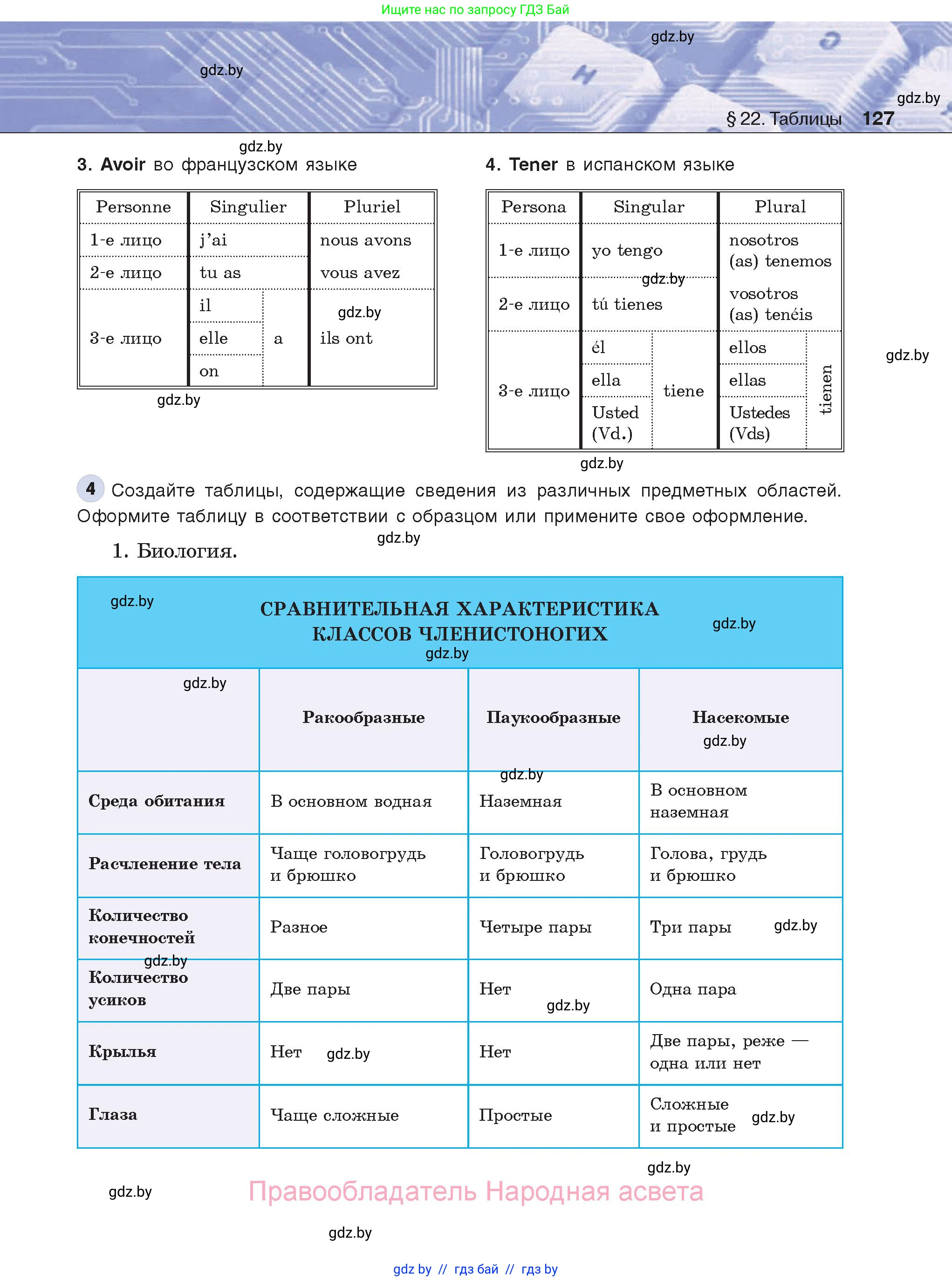 Информатика, 8 класс Учебник, авторы: Котов Владимир Михайлович, Лапо Анжелика Ивановна, Быкадоров Юрий Александрович, Войтехович Елена Николаевна, издательство Народная асвета, Минск, 2018, страница 127